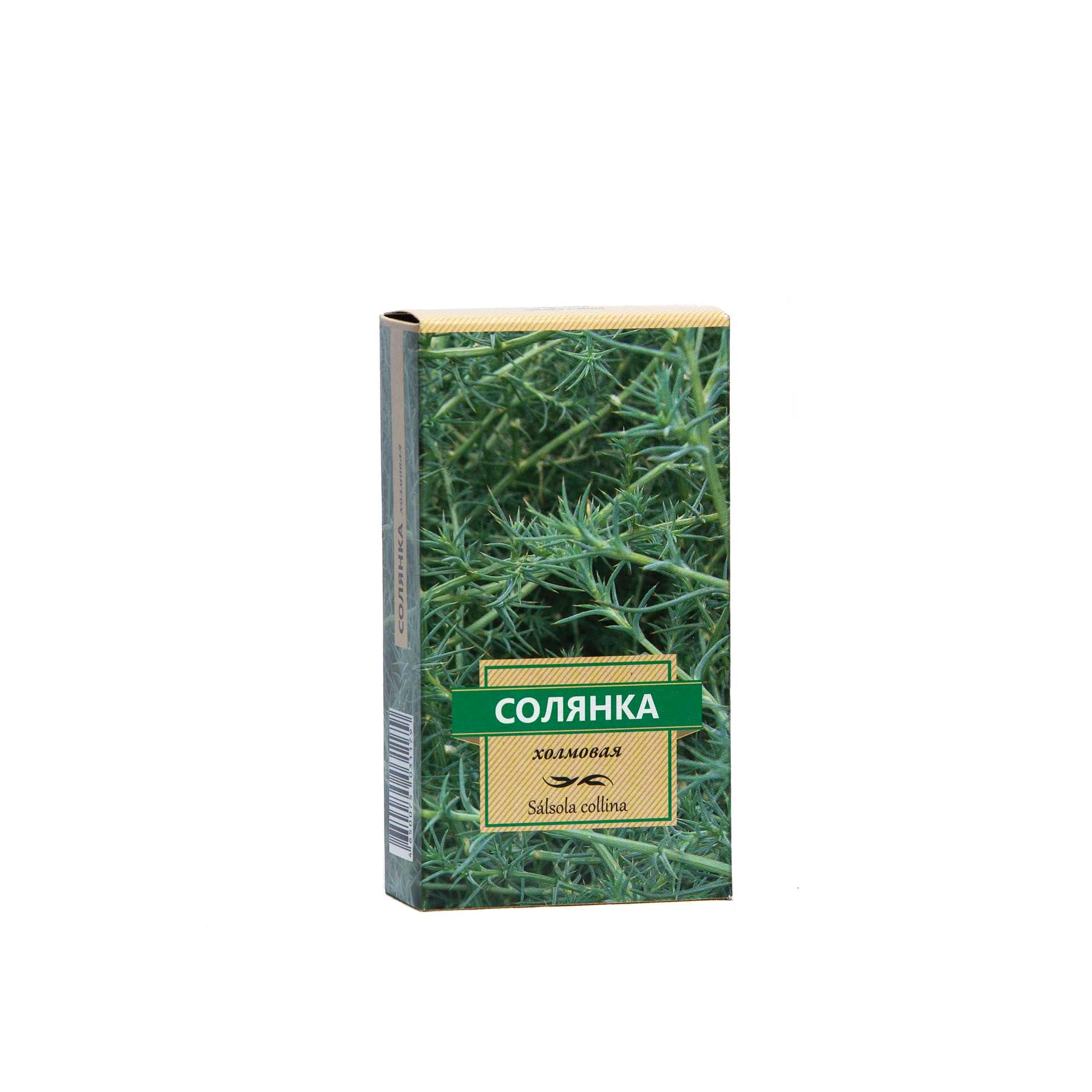 Солянка холмовая natural. Солянка холмовая. Солянка холмовая сбор. Растение солянка холмовая. Солянка холмовая в природе.