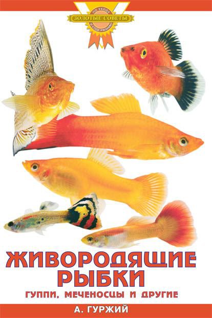 фото Книга живородящие рыбки аквариум-принт
