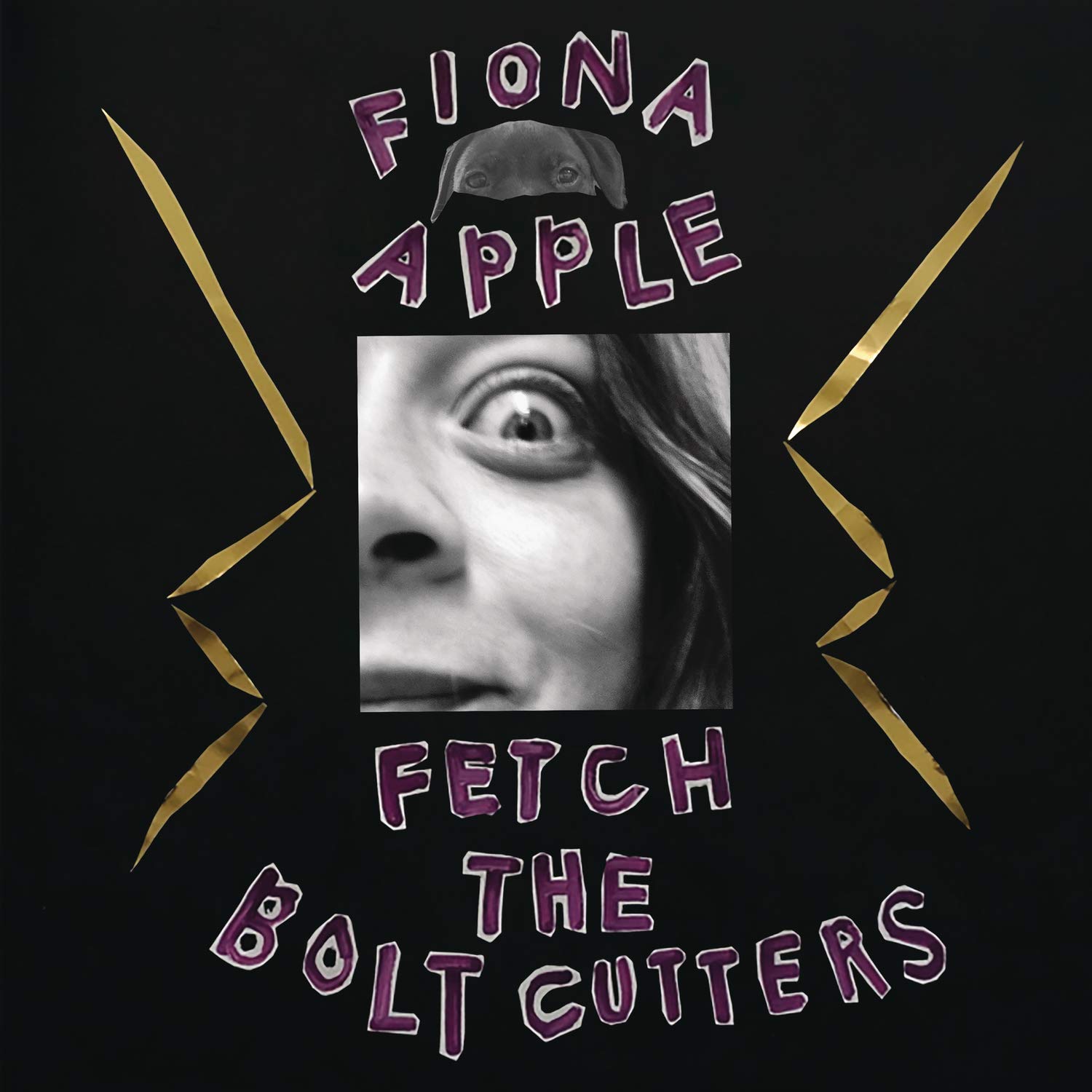 фото Apple fiona fetch the bolt cutters мистерия звука