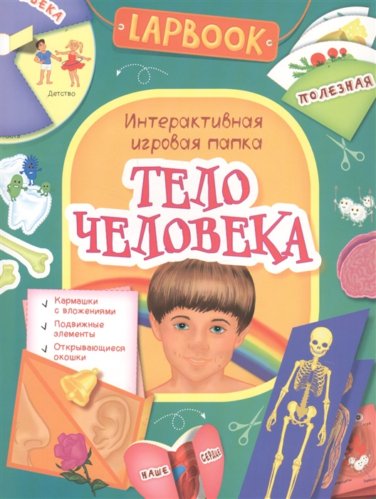 

Lapbook. Тело человека. Интерактивная игровая папка
