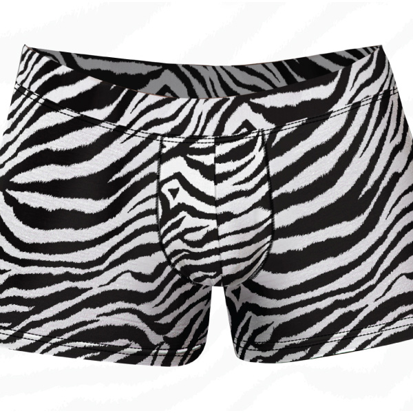 

Трусы мужские Doreanse DOR1795-ZBR белые S, Белый, DOR1795-ZBR