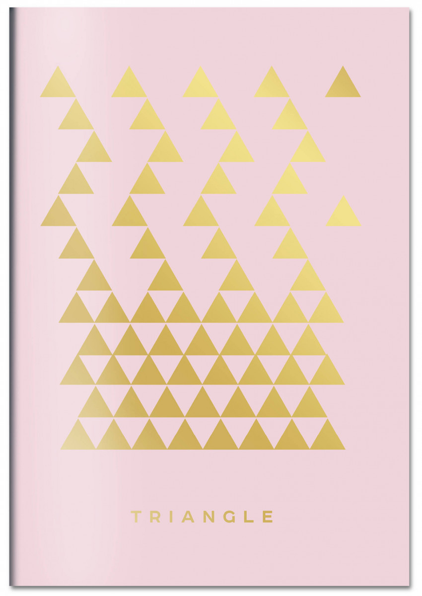 

Тетрадь общая в клетку Эксмо Triangle (розовый), 48 л., 1 шт.
