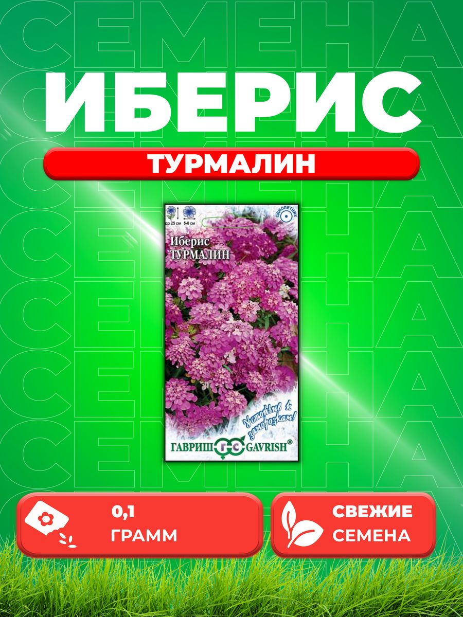 

Семена Иберис зонтичный Турмалин, 0,1г, Гавриш