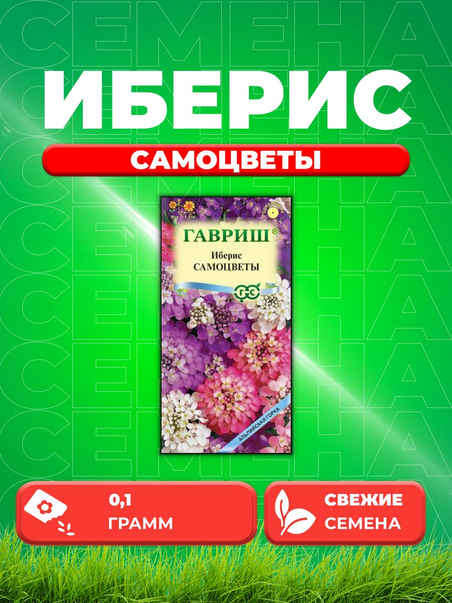 

Семена Иберис зонтичный Самоцветы, 0,1г, Альпийская горка