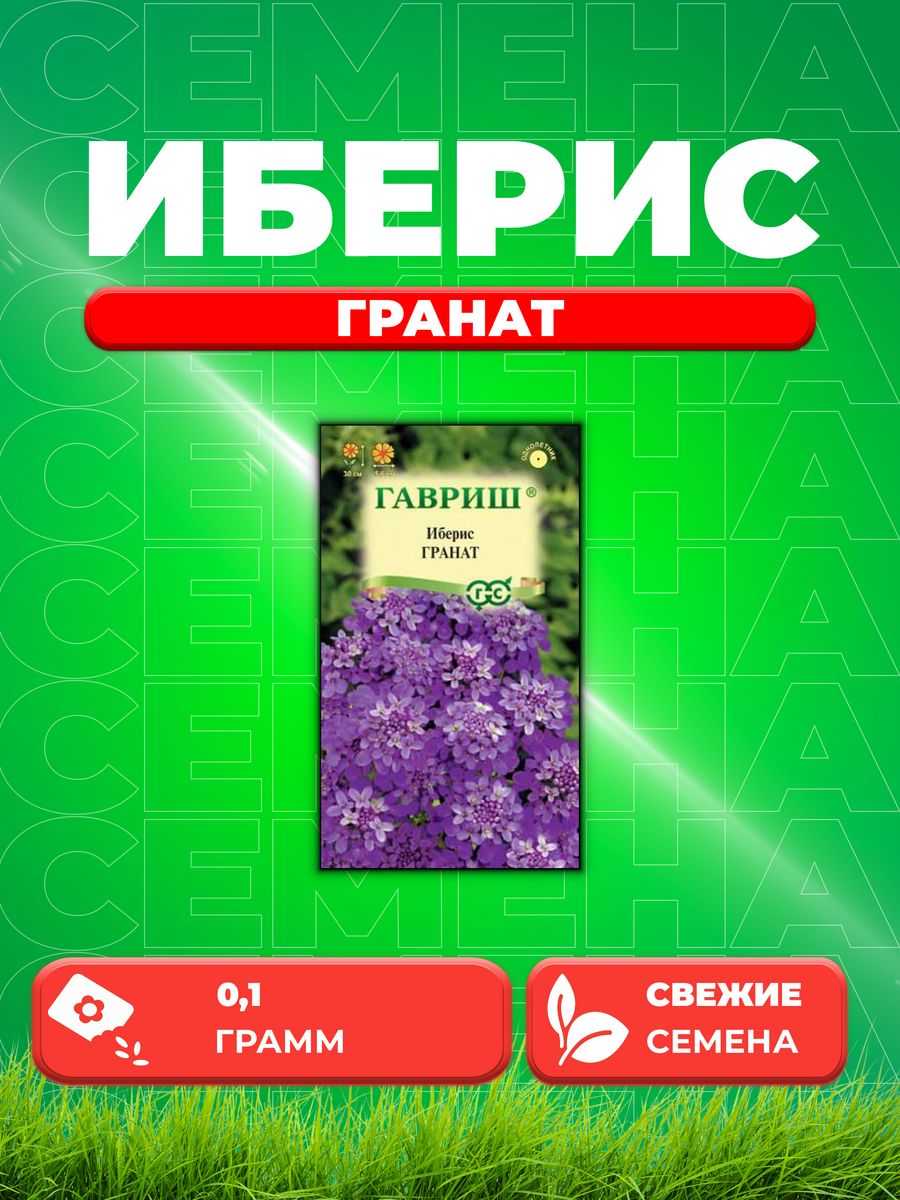 

Семена Иберис зонтичный Гранат, 0,1г, Цветочная коллекция
