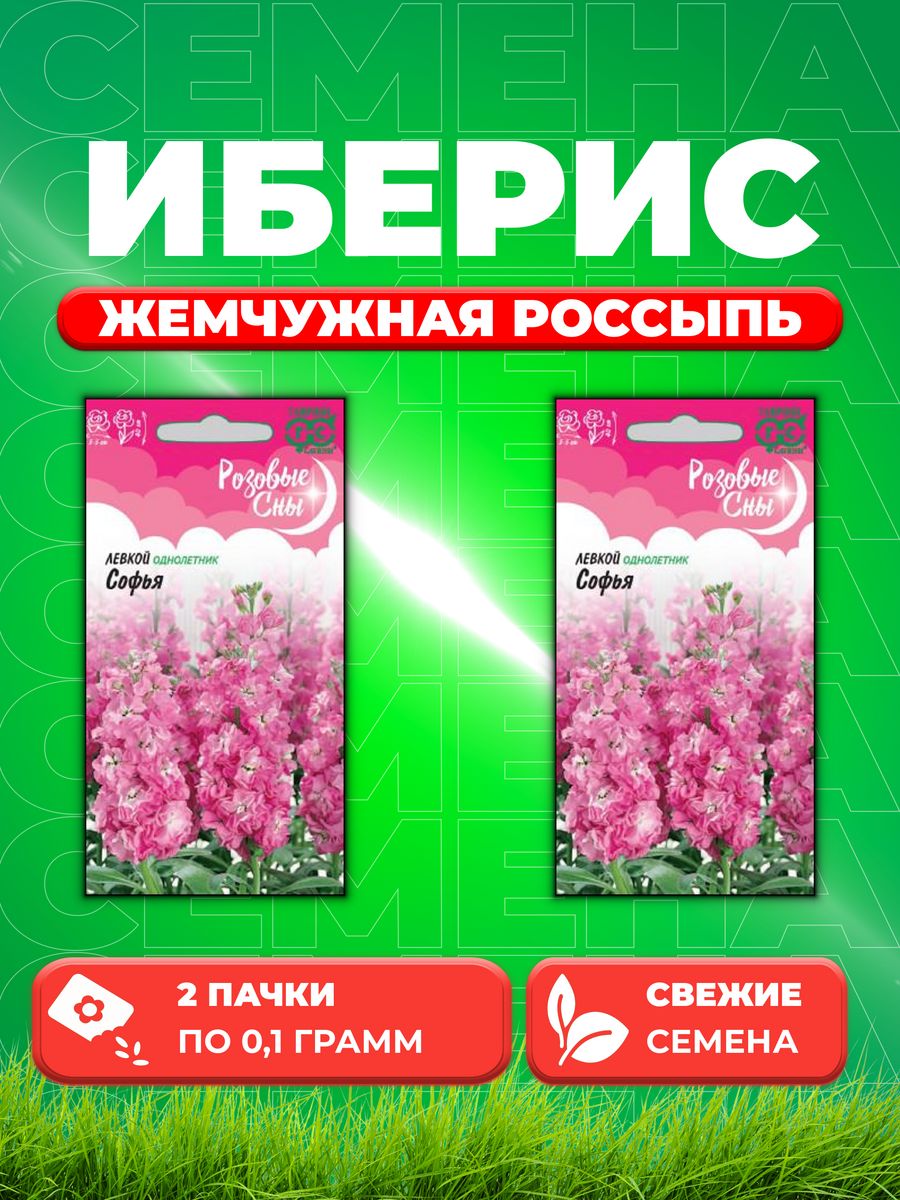 

Семена Иберис зонтичный Жемчужная россыпь, 0,1г, Гавриш(2уп)