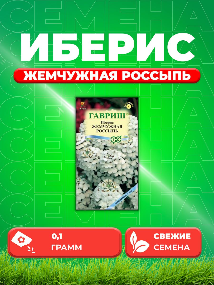 

Семена Иберис зонтичный Жемчужная россыпь, 0,1г, Гавриш