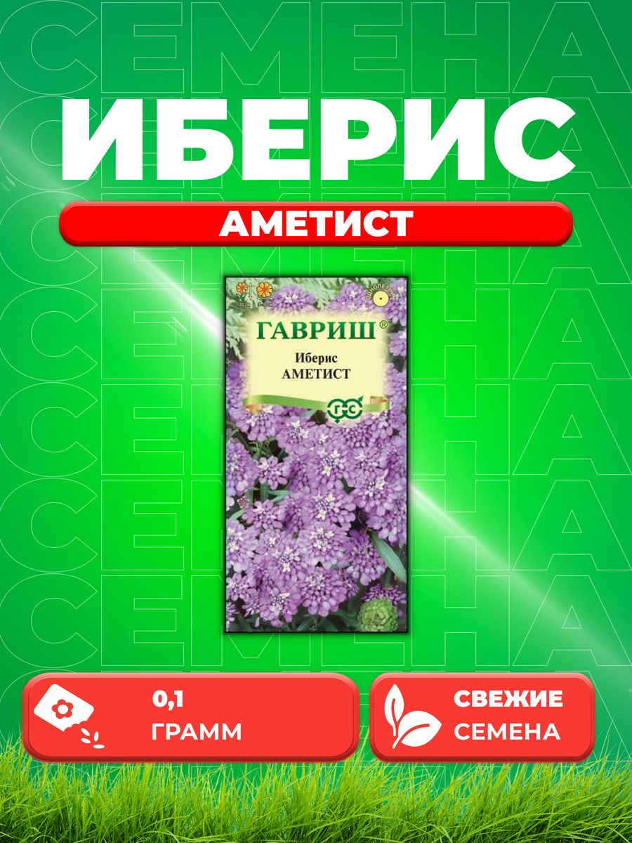 

Семена Иберис зонтичный Аметист, 0,1г, Гавриш