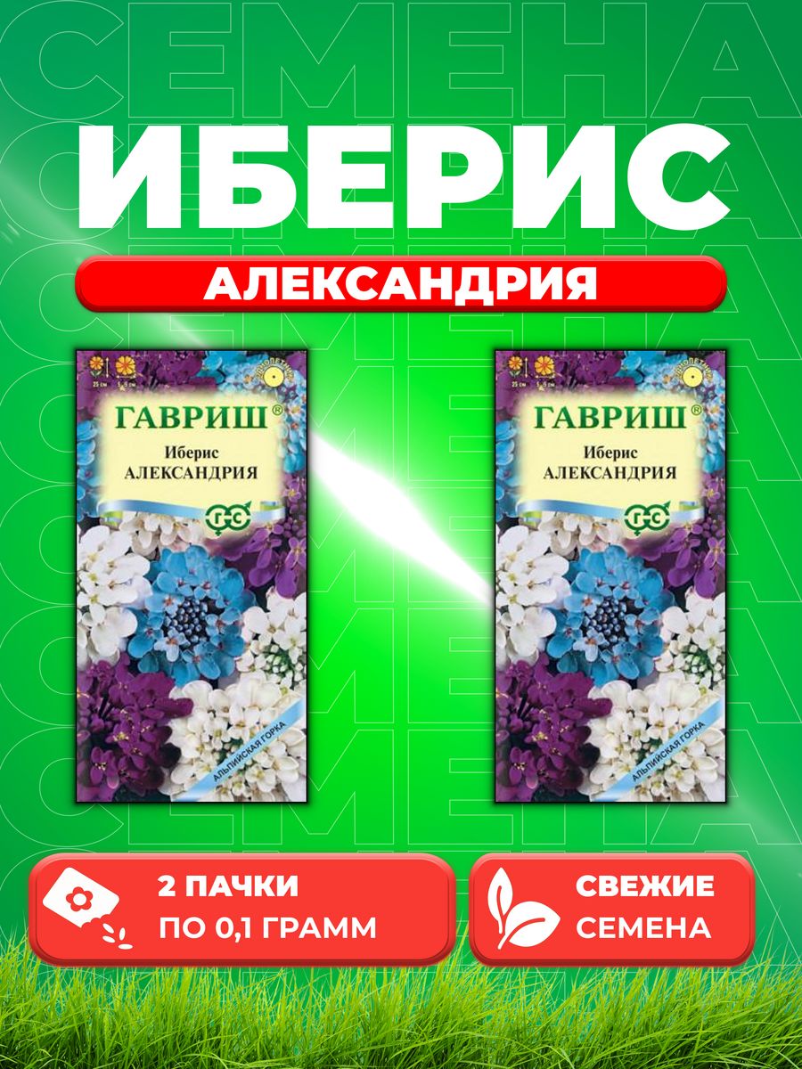 

Семена Иберис зонтичный Александрия, 0,1г, Гавриш(2уп)