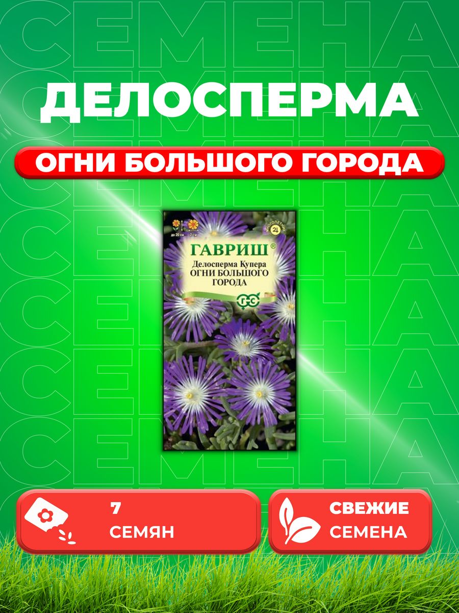 

Семена Делосперма Купера Огни большого города, 7шт, Гавриш
