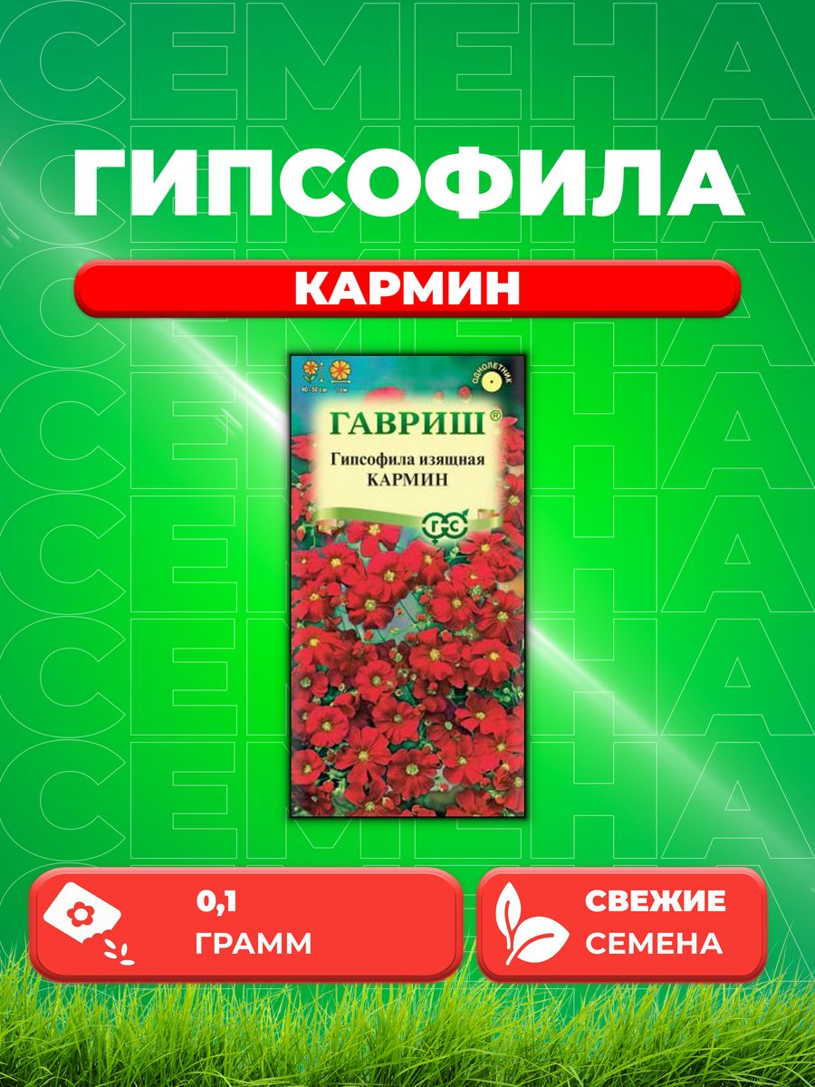 

Семена Гипсофила изящная Кармин, 0,1г, Гавриш