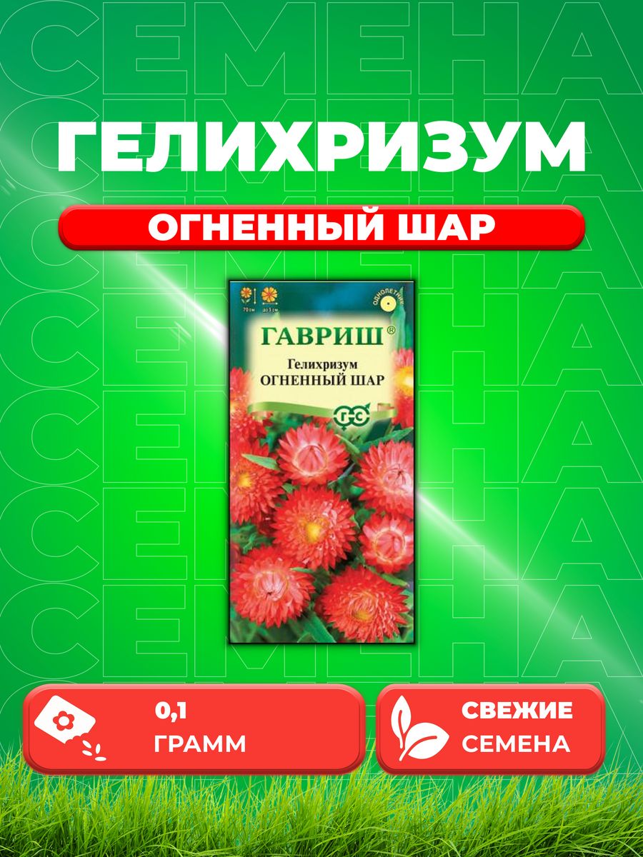 

Семена Гелихризум Огненный шар, 0,1г, Цветочная коллекция