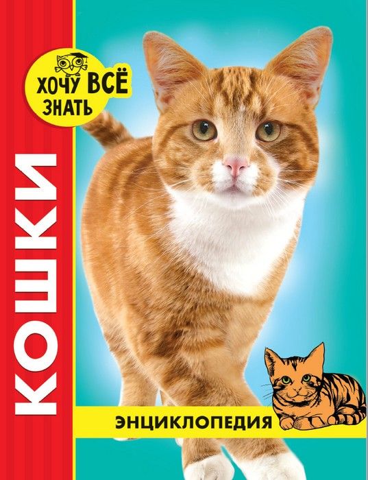 

Энциклопедия Хочу всё знать красная кошки