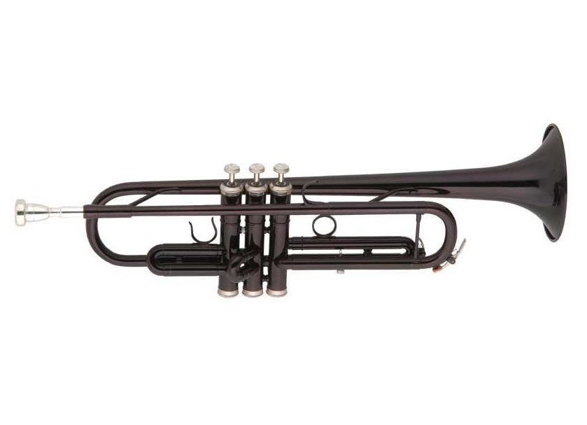 

Boston Tr-104/dbl - Труба Bb помповая, покрытие – черный лак