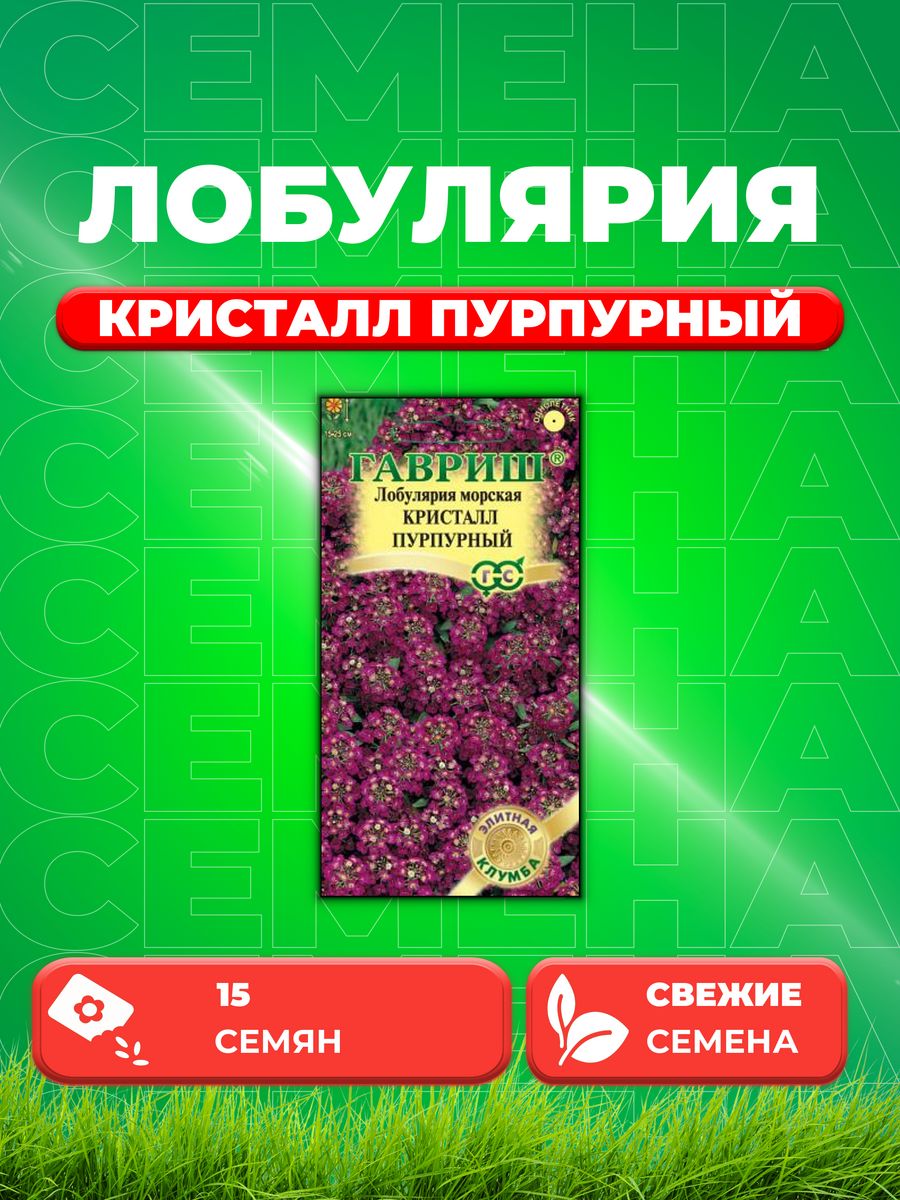 

Семена Лобулярия Кристалл пурпурный, 15шт, Элитная клумба