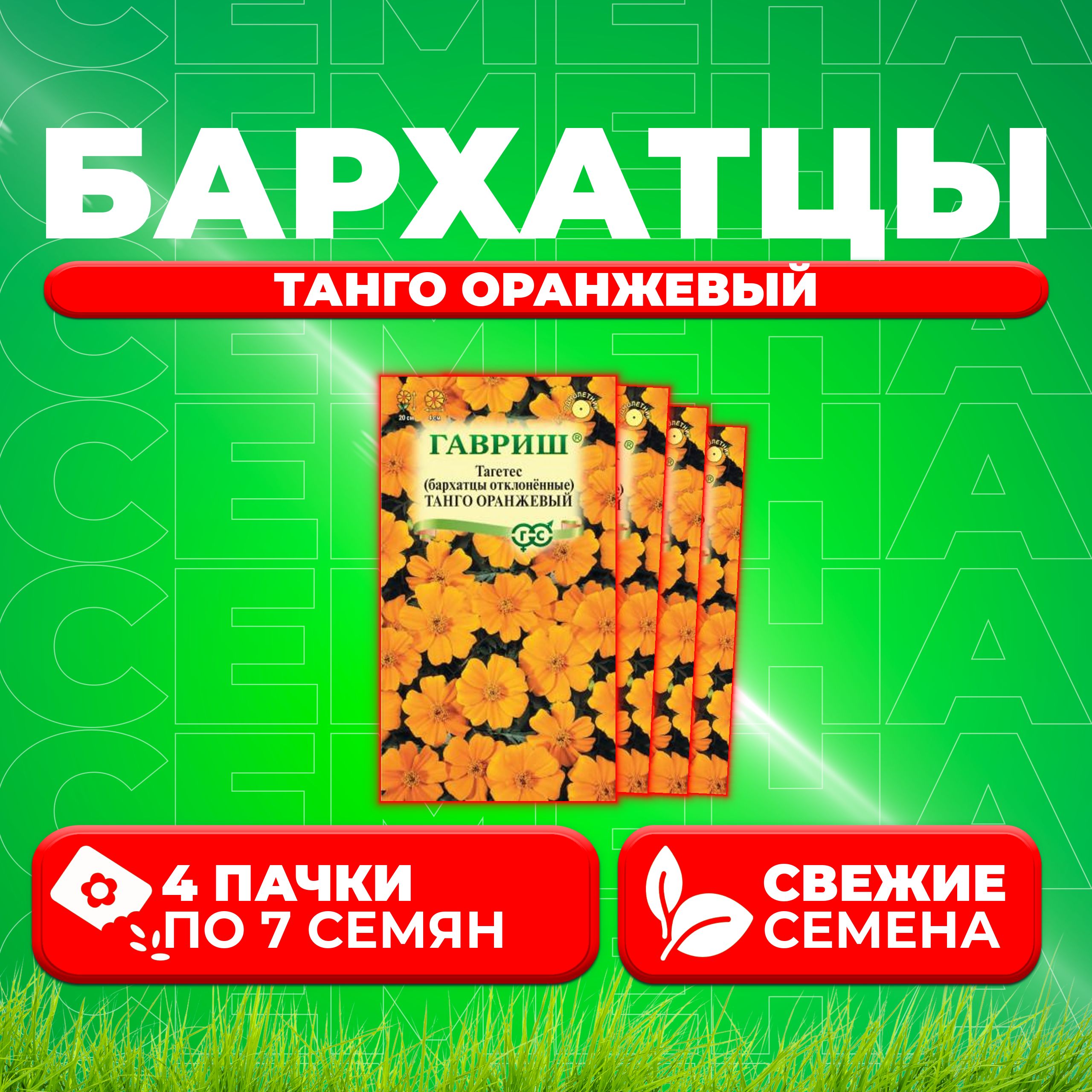 

Семена Бархатцы отклоненные (тагетес) Танго оранжевый, 7шт, Гавриш (4 уп)