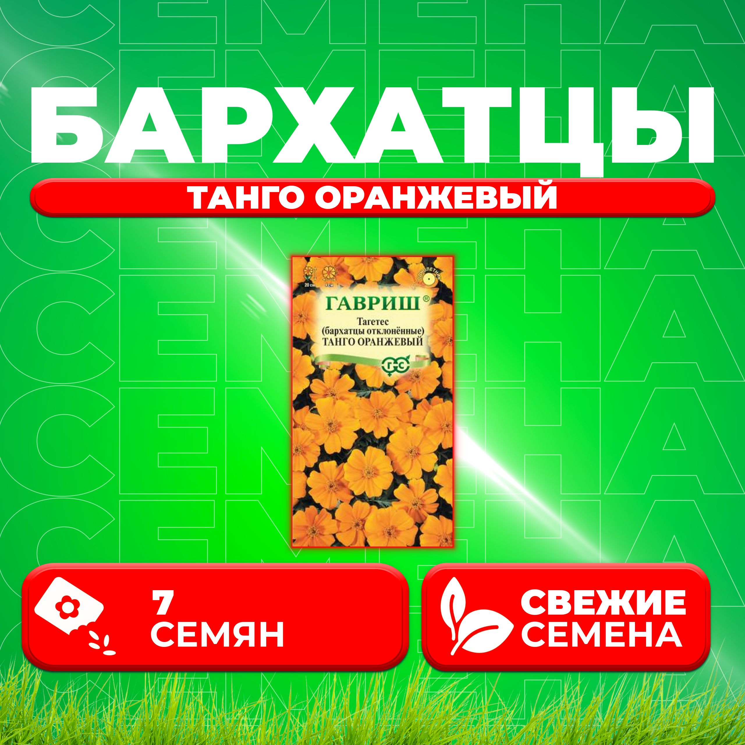

Семена Бархатцы отклоненные (тагетес) Танго оранжевый, 7шт, Гавриш (1 уп)