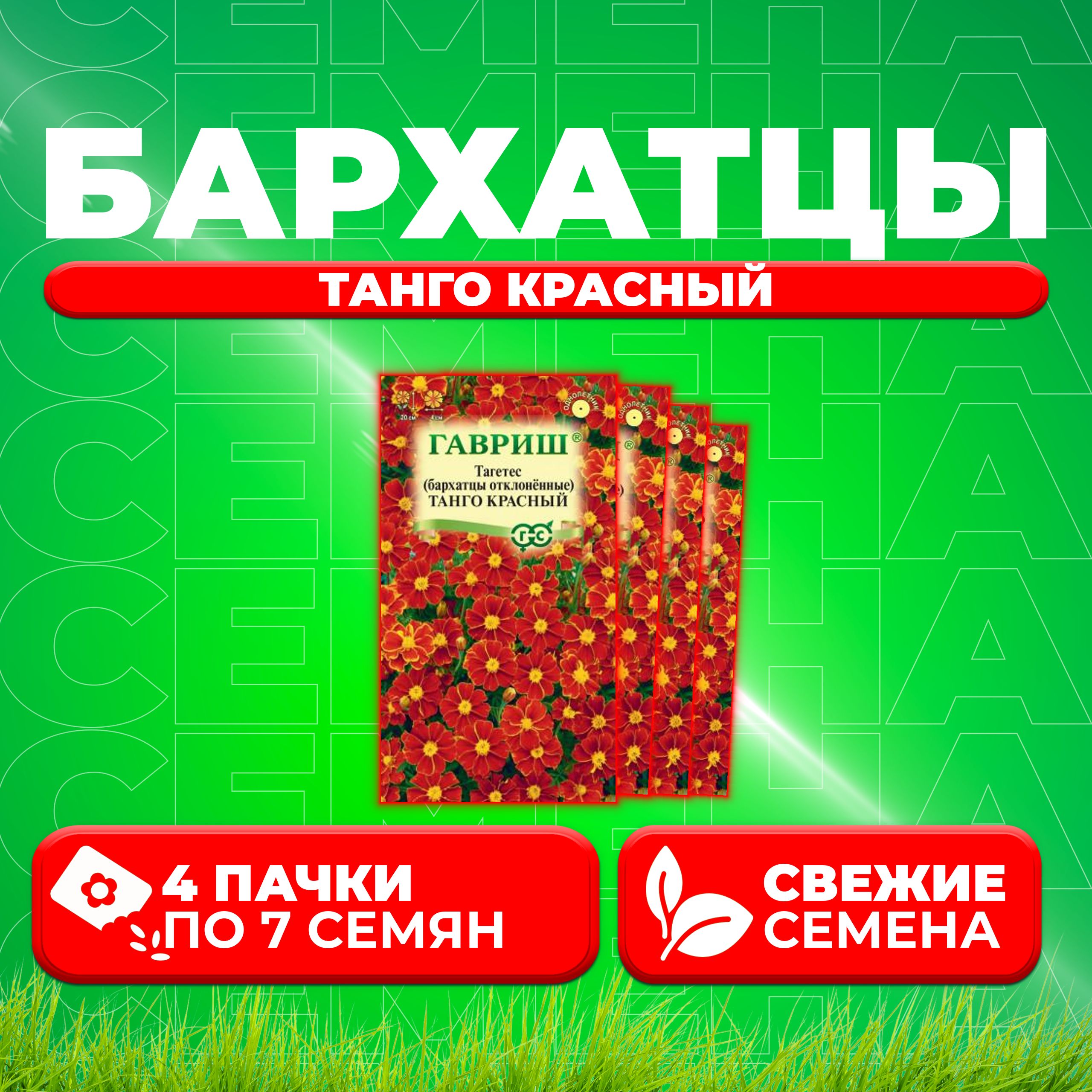 

Семена Бархатцы отклоненные (тагетес) "Танго красный", 7шт, Гавриш (4 уп)
