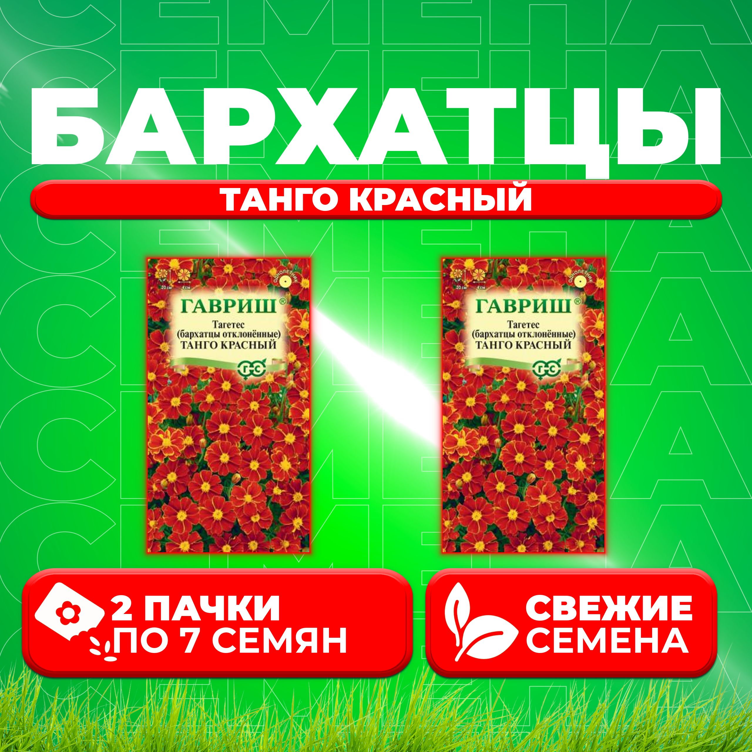 

Семена Бархатцы отклоненные (тагетес) Танго красный, 7шт, Гавриш (2 уп)