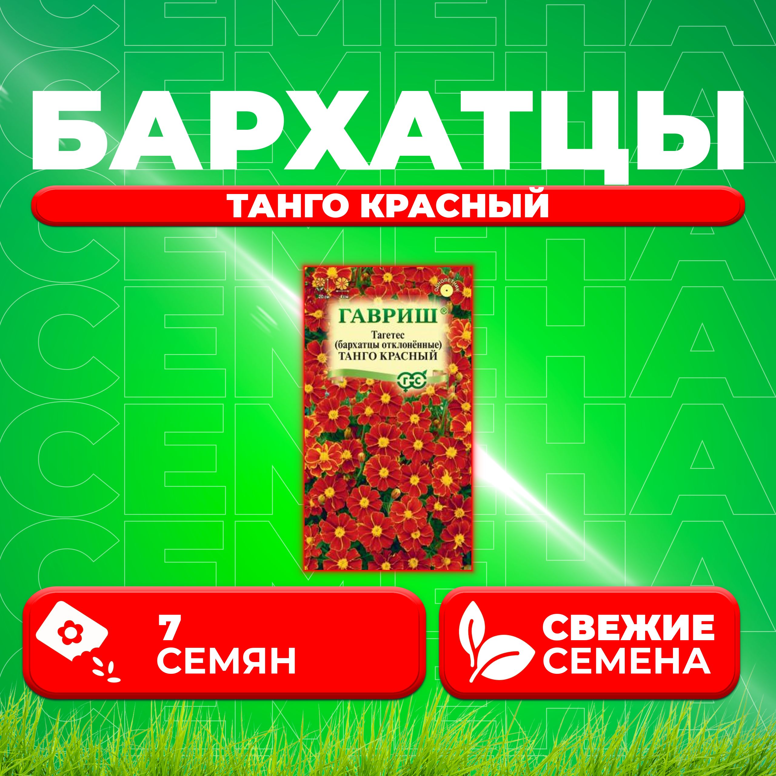

Семена Бархатцы отклоненные (тагетес) Танго красный, 7шт, Гавриш (1 уп)