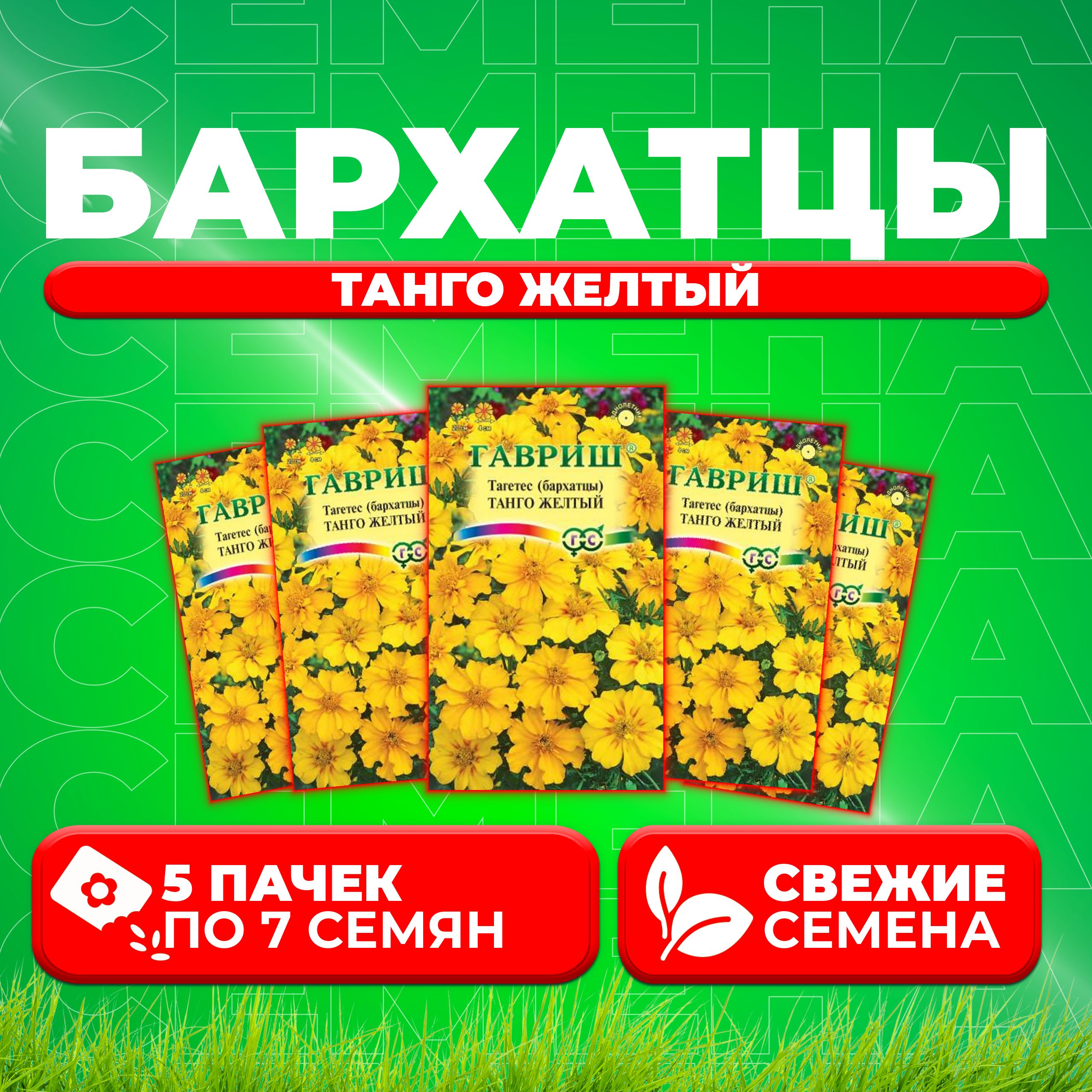 

Семена Бархатцы отклоненные (тагетес) Танго желтый, 7шт, Гавриш (5 уп)
