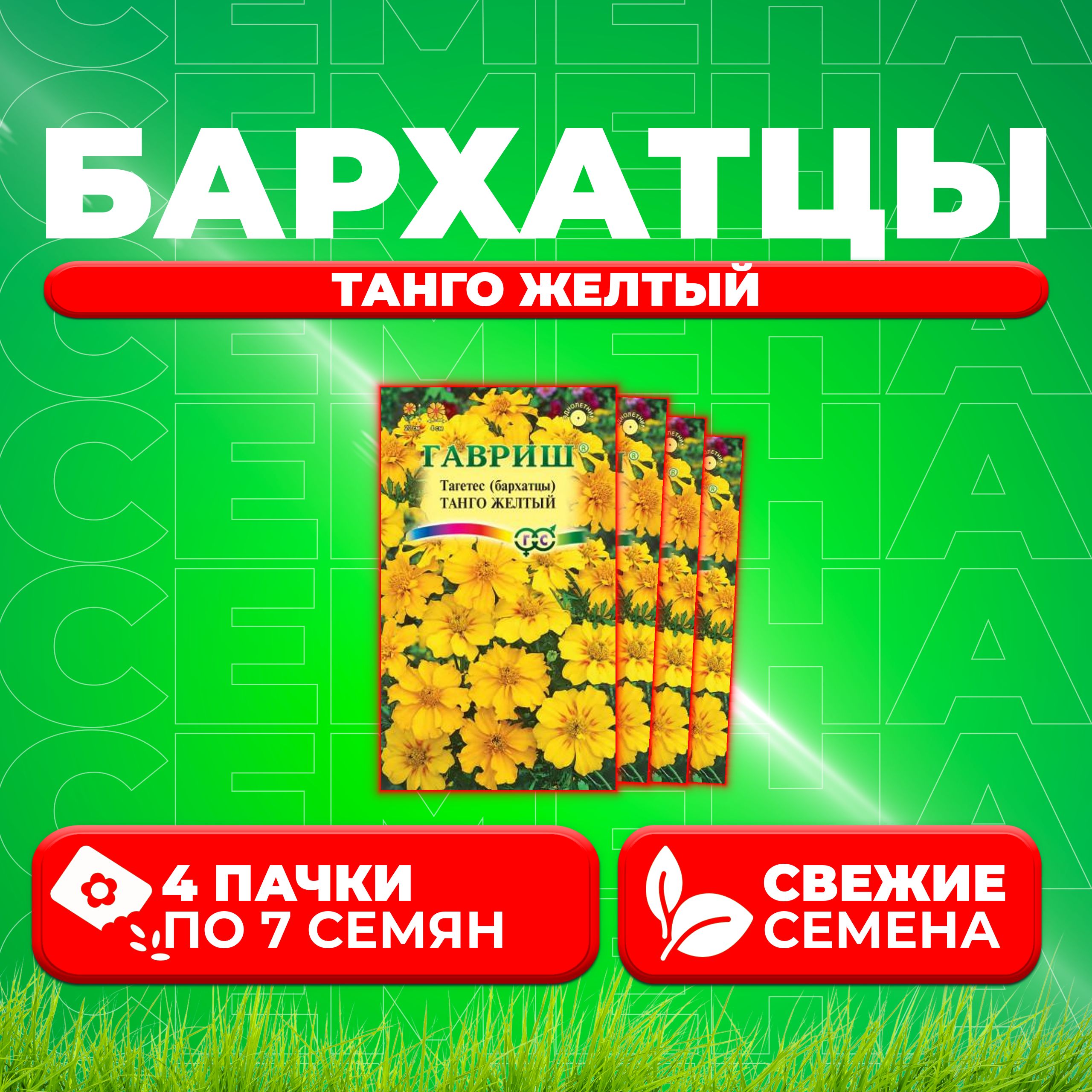 

Семена Бархатцы отклоненные (тагетес) Танго желтый, 7шт, Гавриш (4 уп)