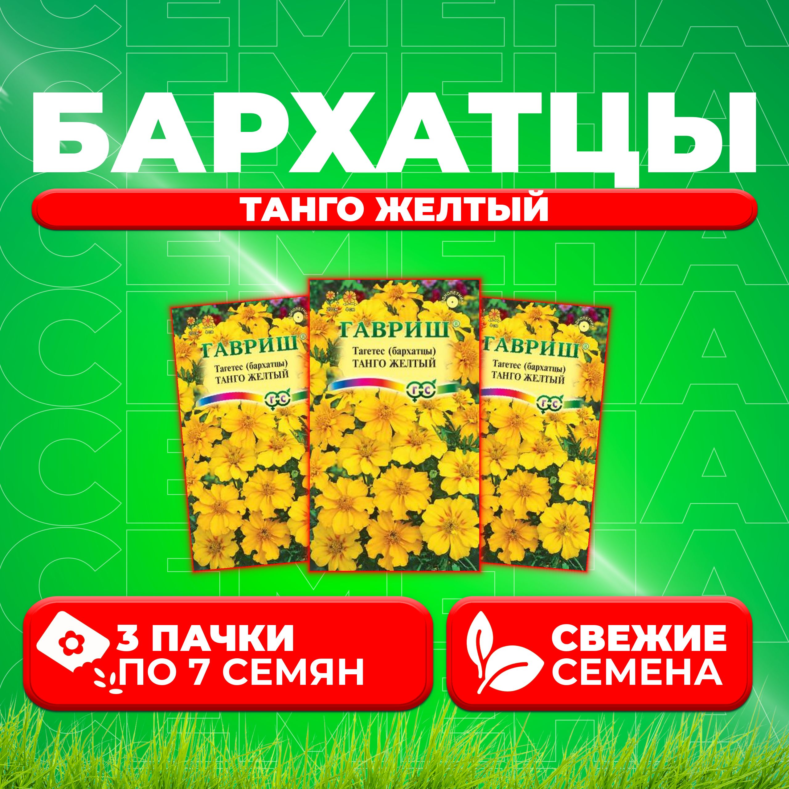 

Семена Бархатцы отклоненные (тагетес) Танго желтый, 7шт, Гавриш (3 уп)