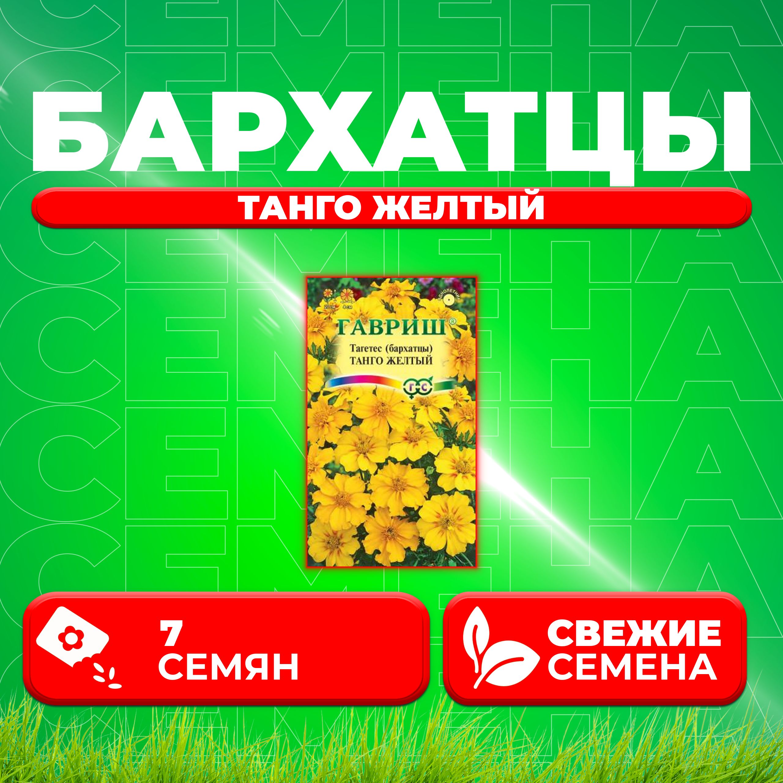 

Семена Бархатцы отклоненные (тагетес) Танго желтый, 7шт, Гавриш (1 уп)