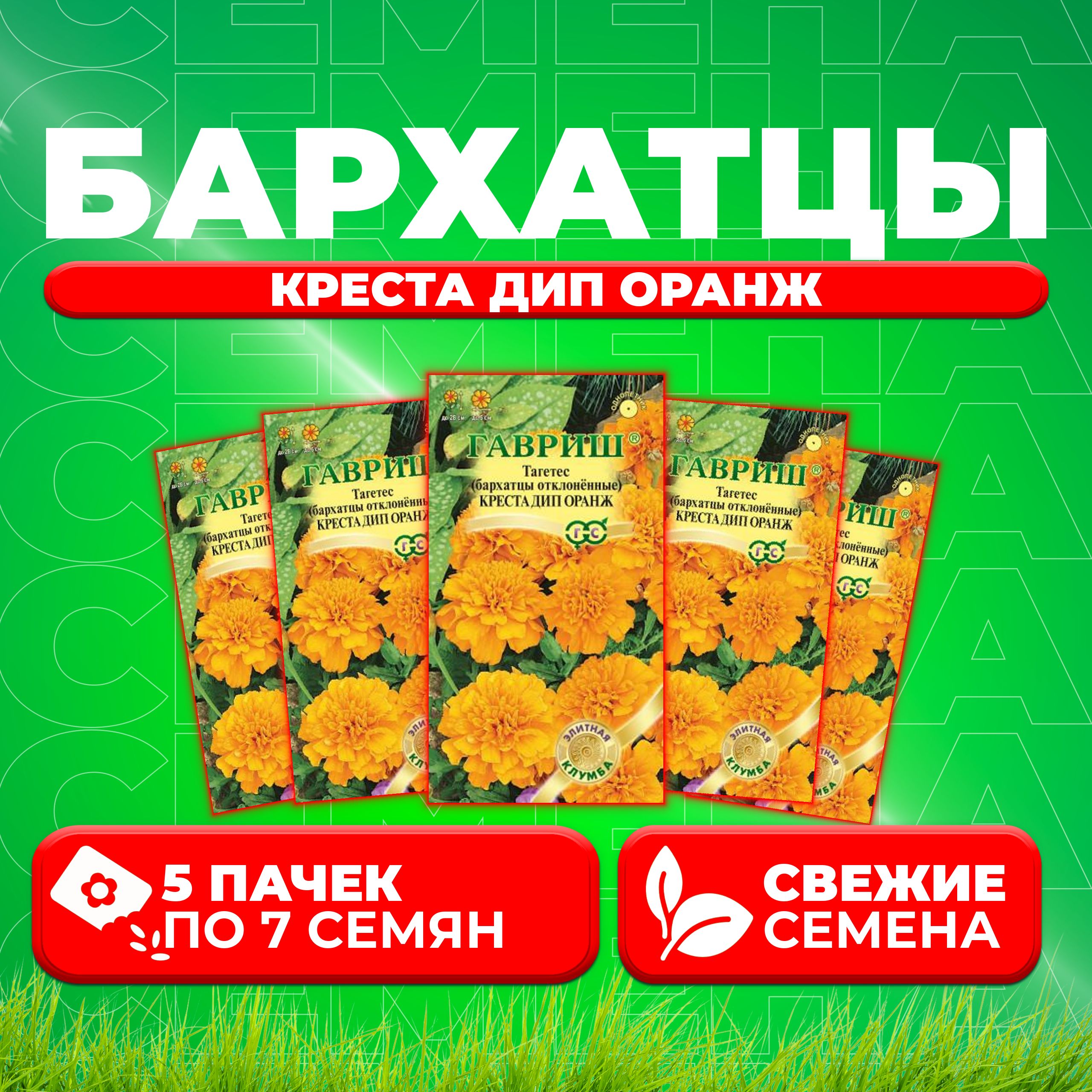 

Семена Бархатцы отклоненные (тагетес) Креста Дип Оранж, 7шт, Гавриш, Элитная клумба (5 уп)