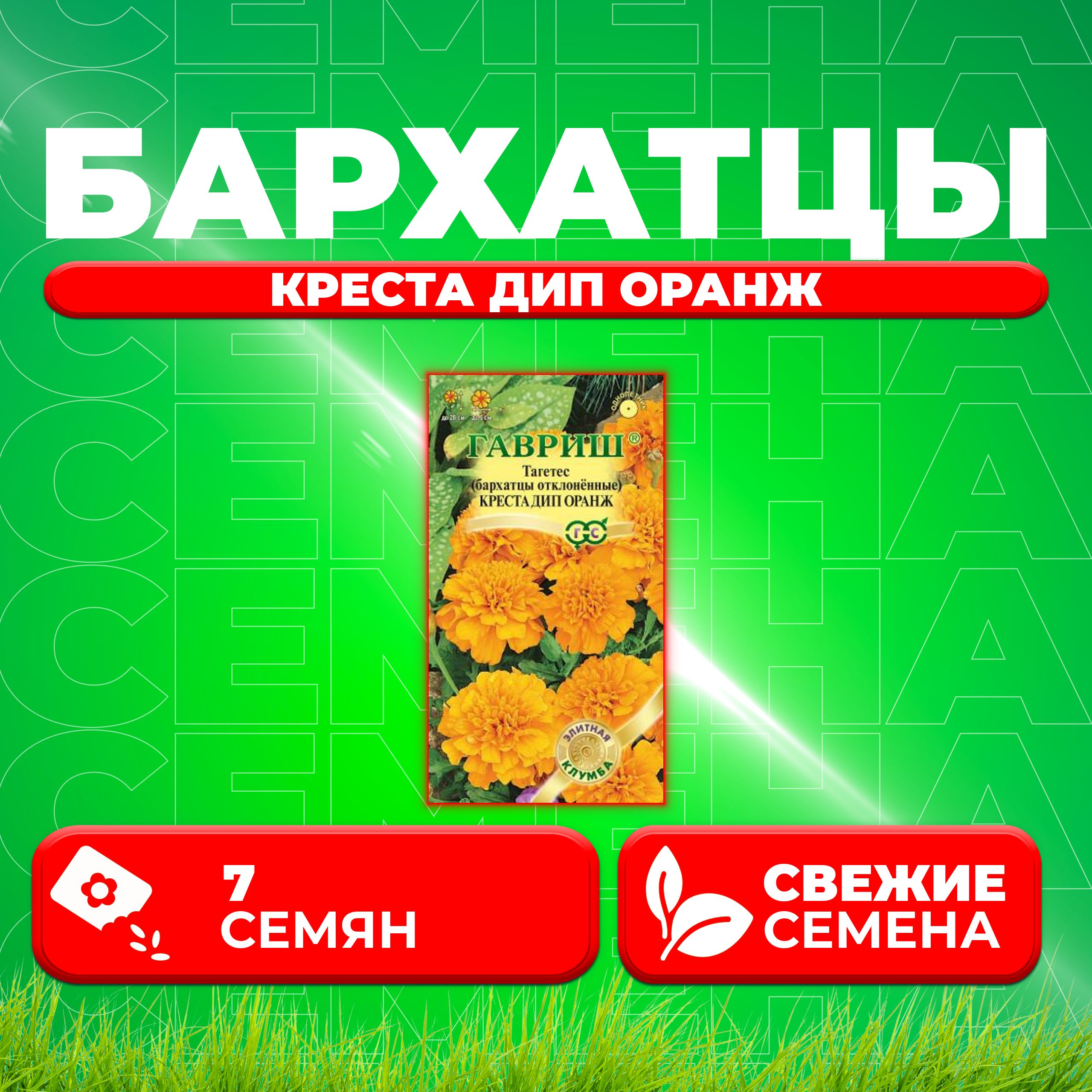 

Семена Бархатцы отклоненные (тагетес) Креста Дип Оранж, 7шт, Гавриш, Элитная клумба (1 уп)