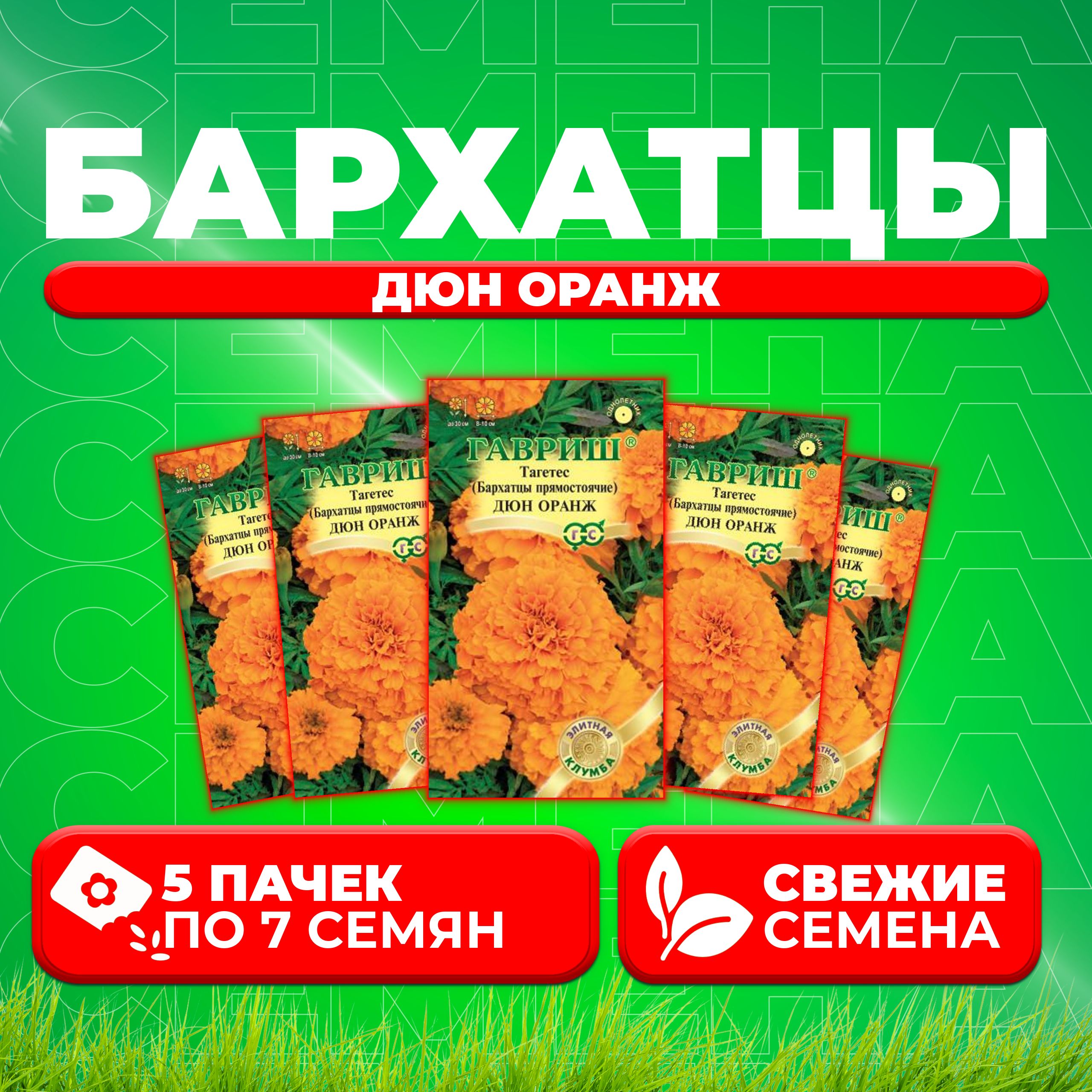 

Семена Бархатцы прямостоячие (тагетес) Дюн Оранж, 7шт, Гавриш, Элитная клумба (5 уп)