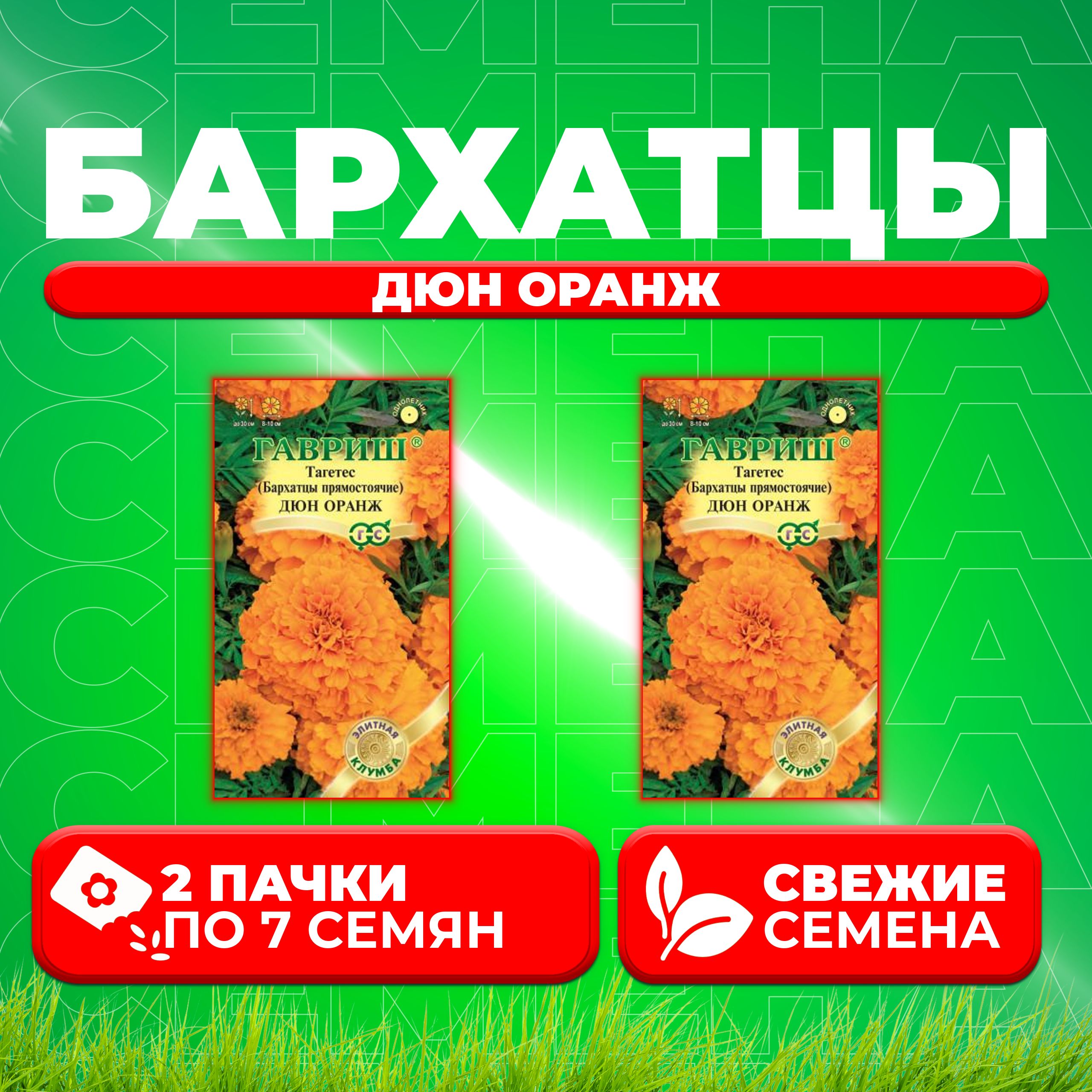 

Семена Бархатцы прямостоячие (тагетес) Дюн Оранж, 7шт, Гавриш, Элитная клумба (2 уп)