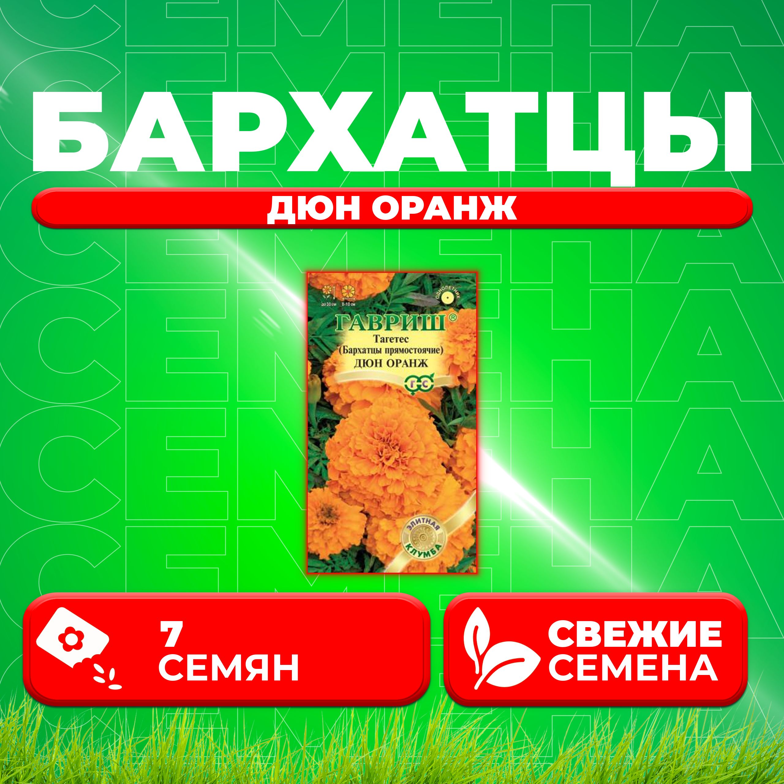 

Семена Бархатцы прямостоячие (тагетес) Дюн Оранж, 7шт, Гавриш, Элитная клумба (1 уп)