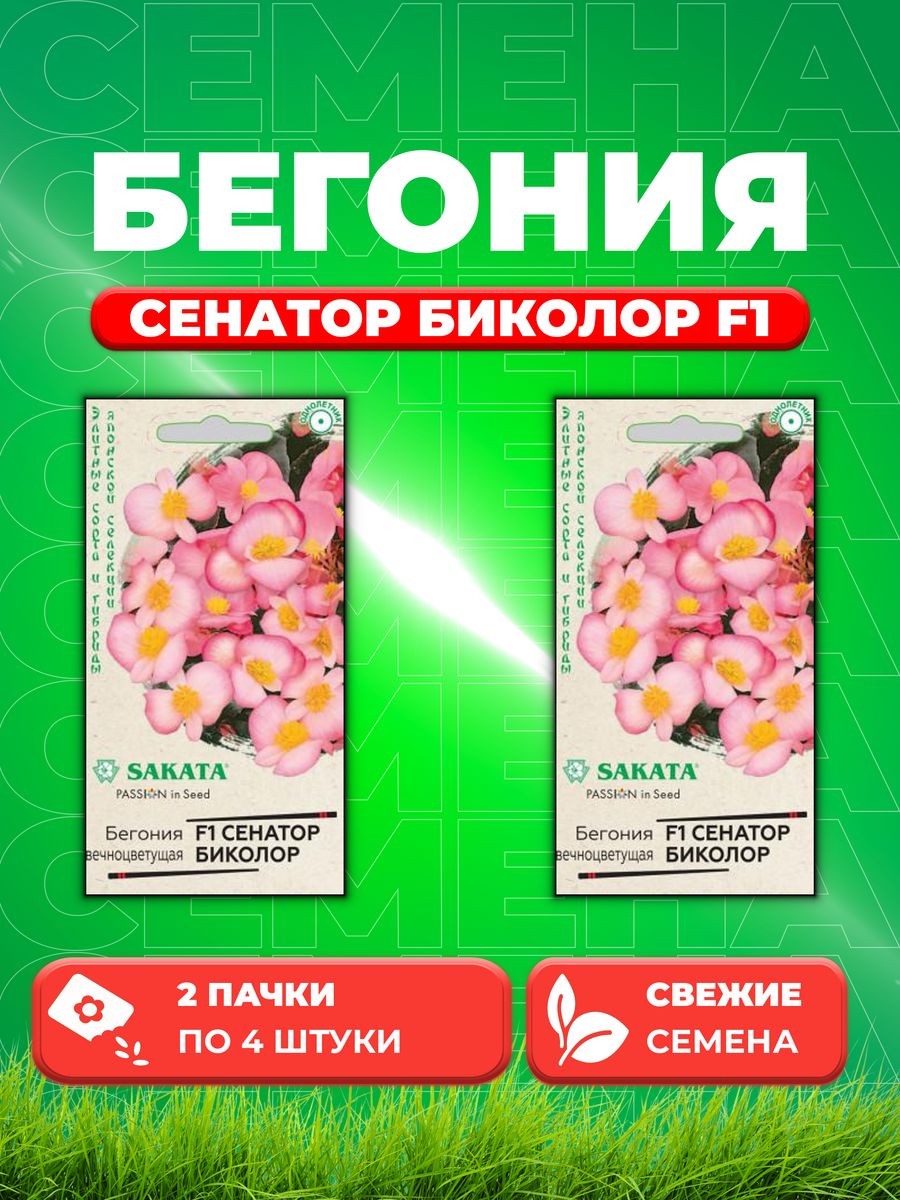

Семена Бегония вечноцветущая Сенатор Биколор F1, 4шт, Sakata(2уп)