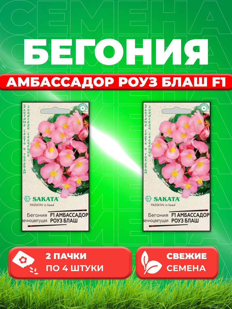

Семена Бегония вечноцветущая Амбассадор Роуз БлашF1,4шSakata(2уп)