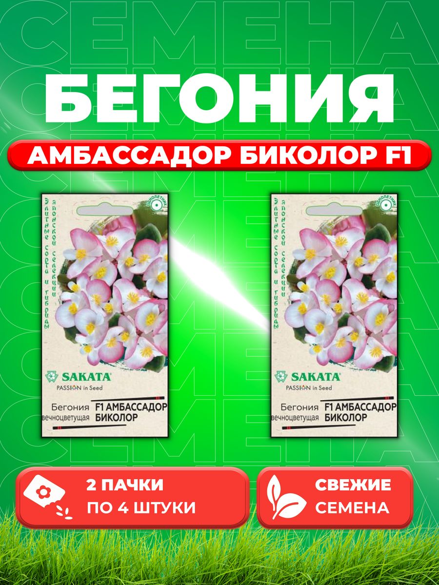 Семена Бегония вечноцветущая Амбассадор Биколор F1,4штSakata(2уп)