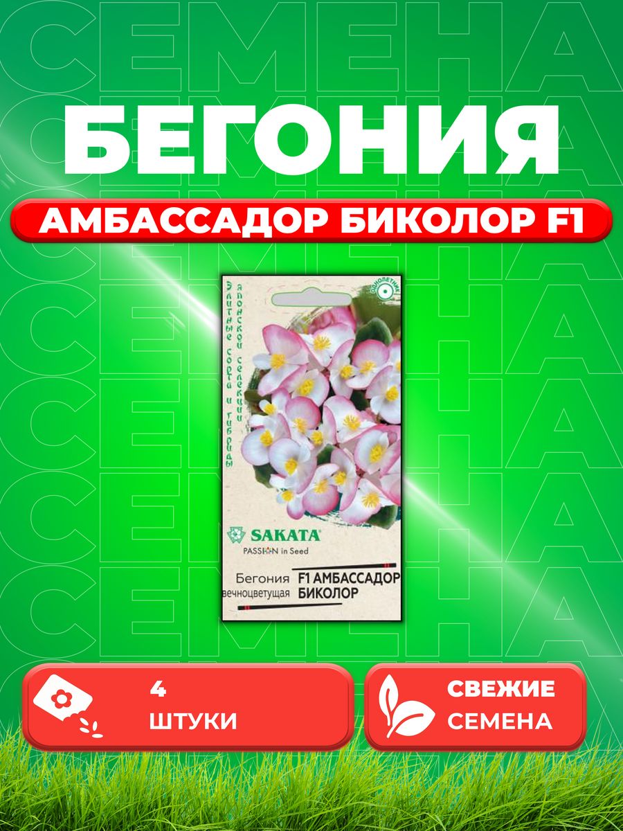 Семена Бегония вечноцветущая Амбассадор Биколор F1,4штSakata