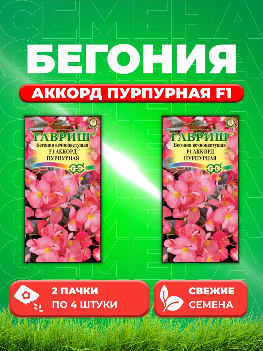 

Семена Бегония вечноцветущая Аккорд Пурпурная F1, 4шт,Гавриш(2уп)