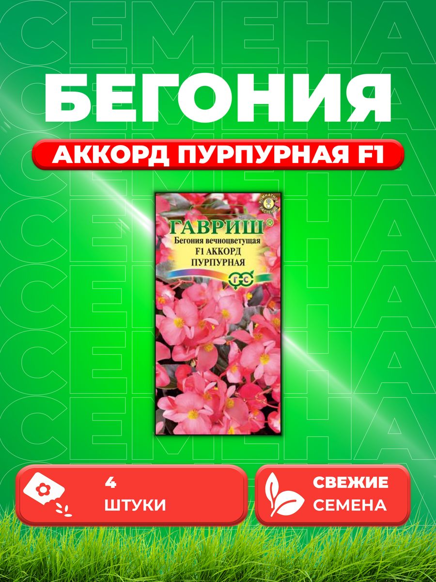 

Семена Бегония вечноцветущая Аккорд Пурпурная F1, 4шт,Гавриш