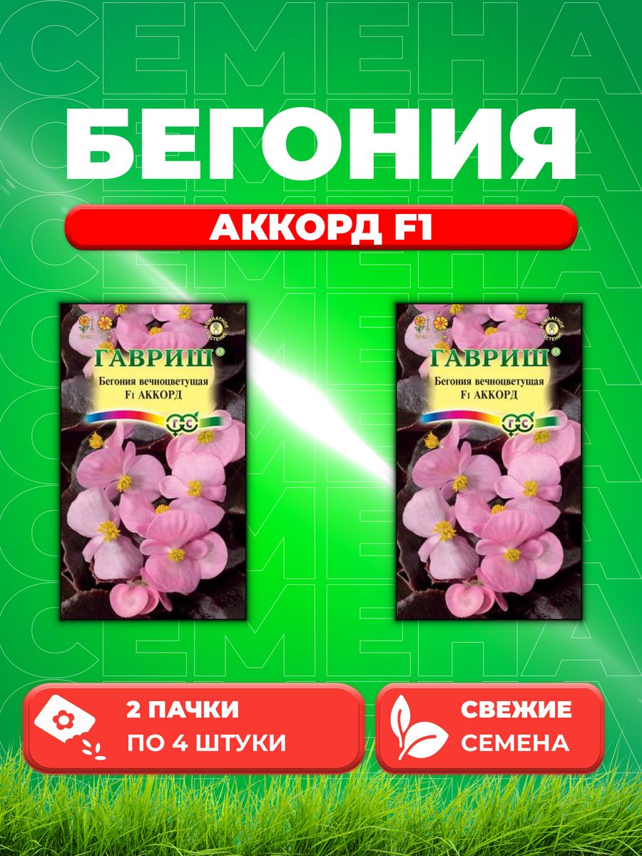 

Семена Бегония вечноцветущая Аккорд F1, 4шт, Гавриш(2уп)