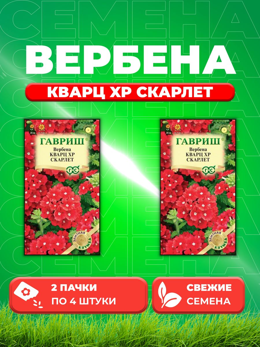 

Семена Вербена гибридная Кварц XP Скарлет, 4шт, Гавриш(2уп)