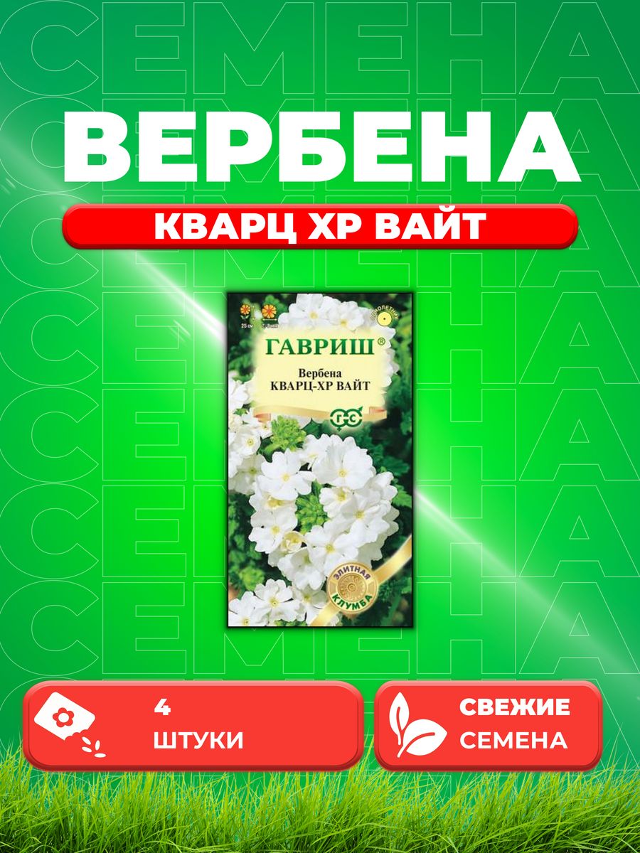 Семена Вербена гибридная Кварц XP Вайт, 4шт, Гавриш