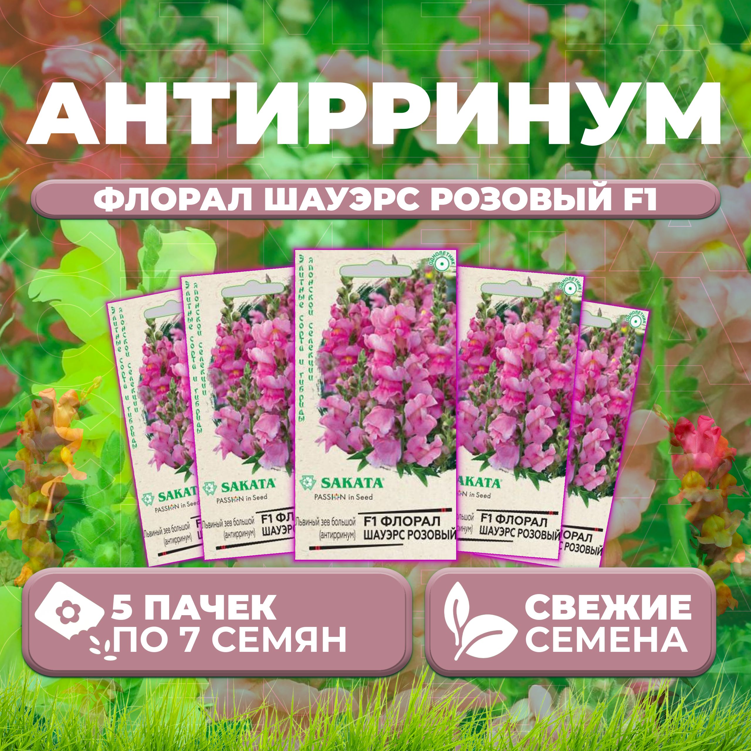 

Семена Антирринум (Львиный зев) Флорал Шауэрс розовый F1, 7шт, Гавриш, Sakata (5 уп)