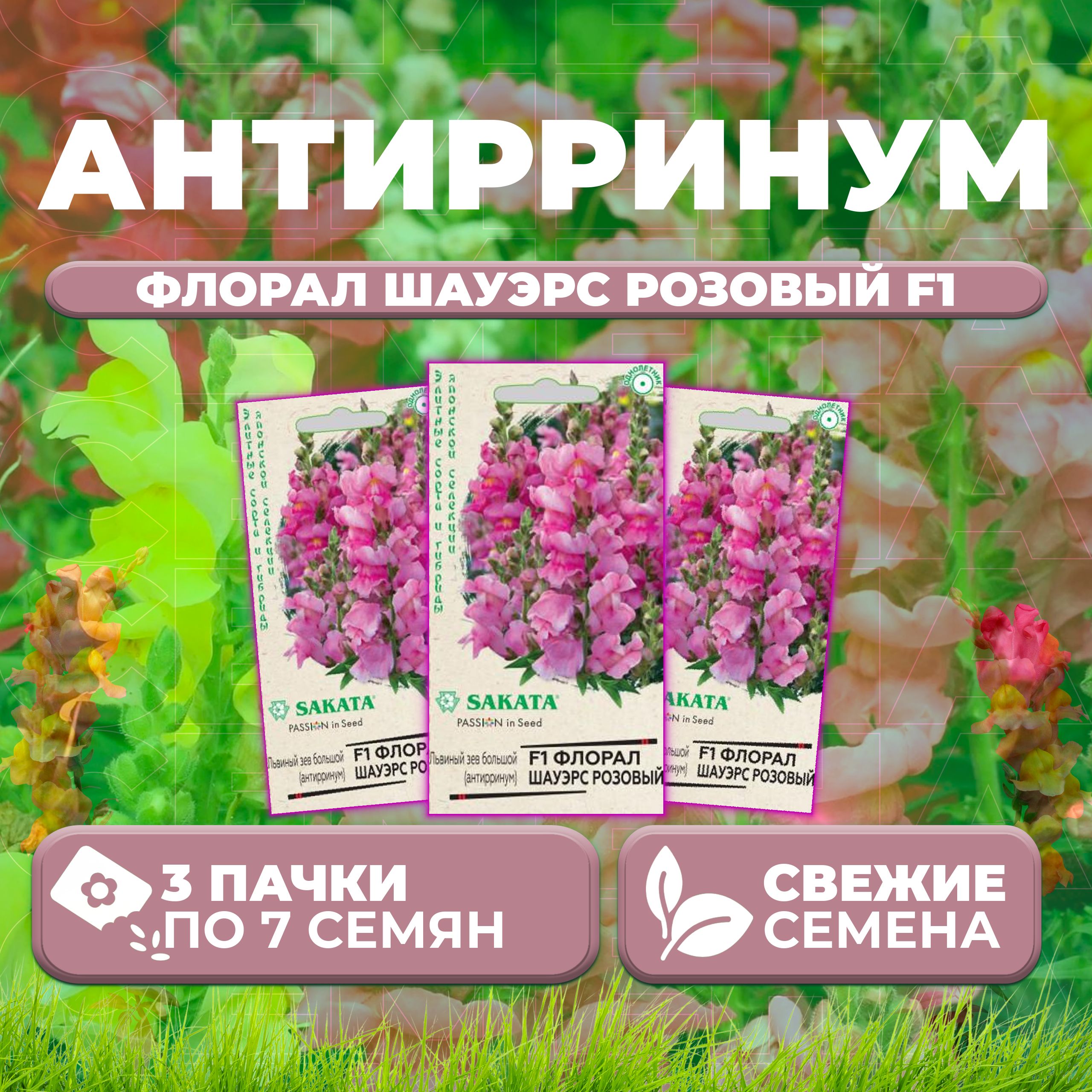 

Семена Антирринум (Львиный зев) Флорал Шауэрс розовый F1, 7шт, Гавриш, Sakata (3 уп)