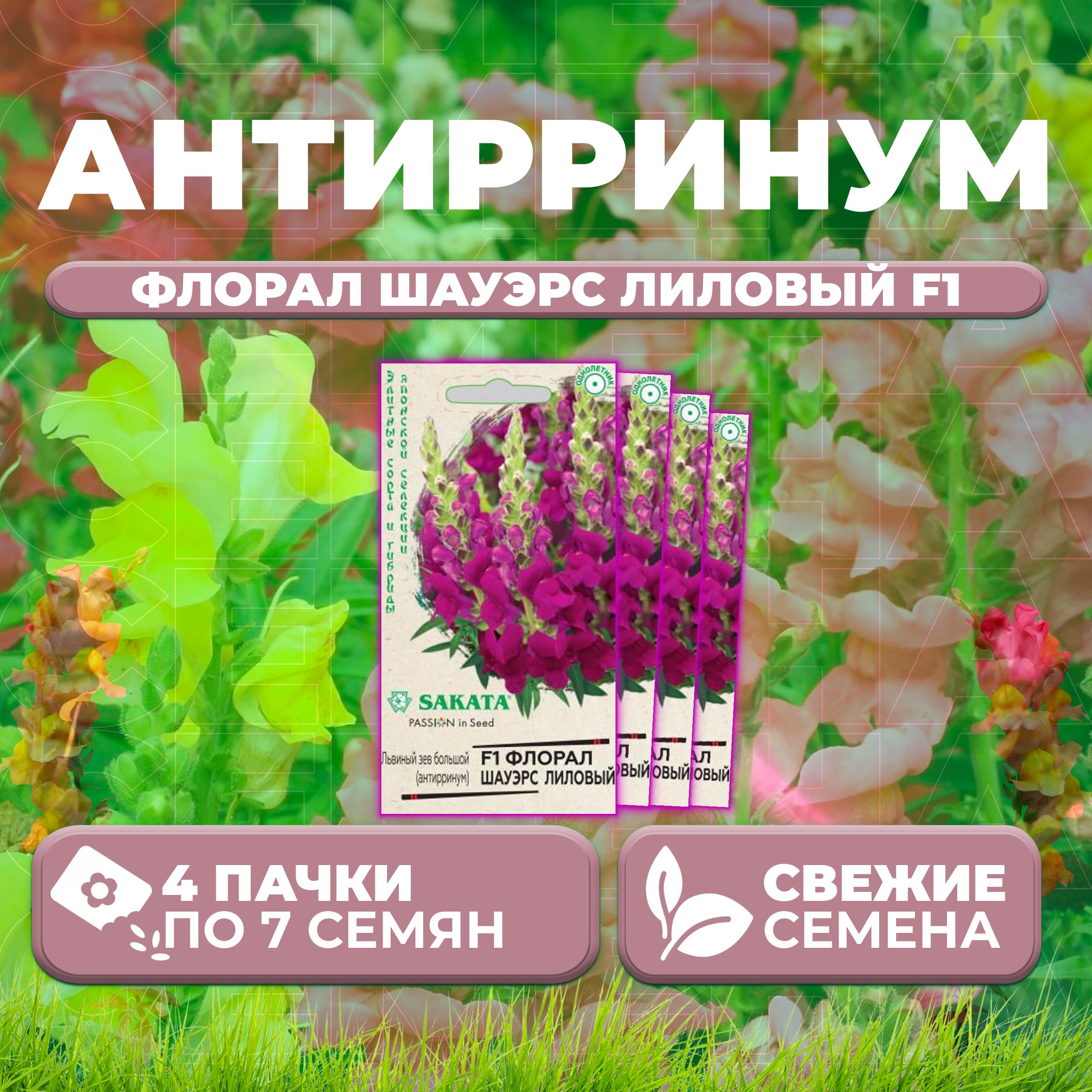 

Семена Антирринум (Львиный зев) Флорал Шауэрс лиловый F1, 7шт, Гавриш, Sakata (4 уп)