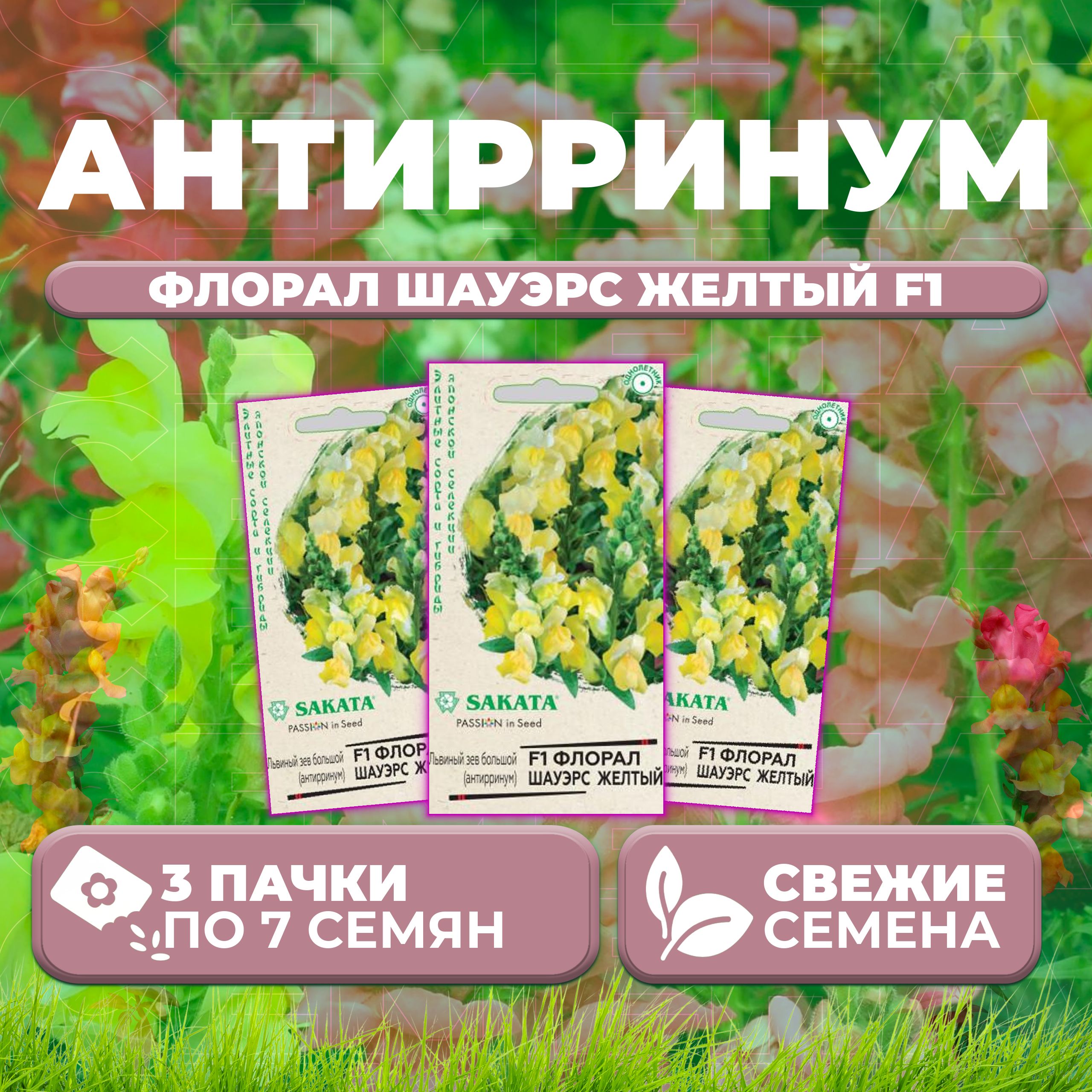 

Семена Антирринум (Львиный зев) Флорал Шауэрс желтый F1, 7шт, Гавриш, Sakata (3 уп)