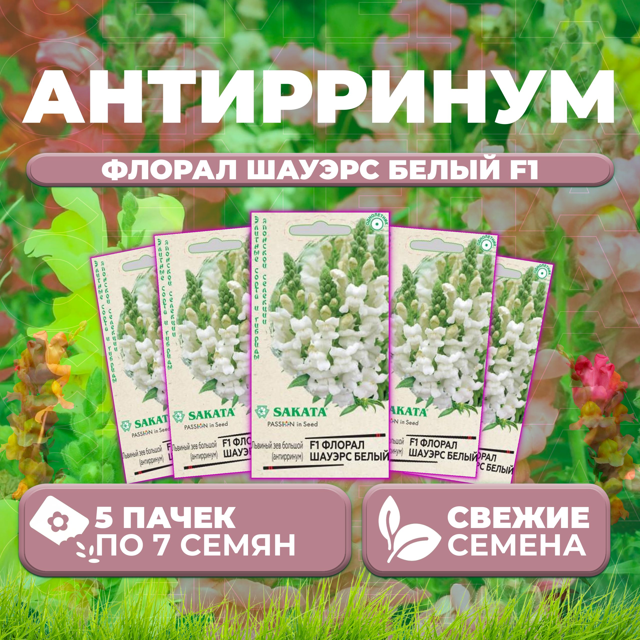 

Семена Антирринум (Львиный зев) Флорал Шауэрс белый F1, 7шт, Гавриш, Sakata (5 уп)