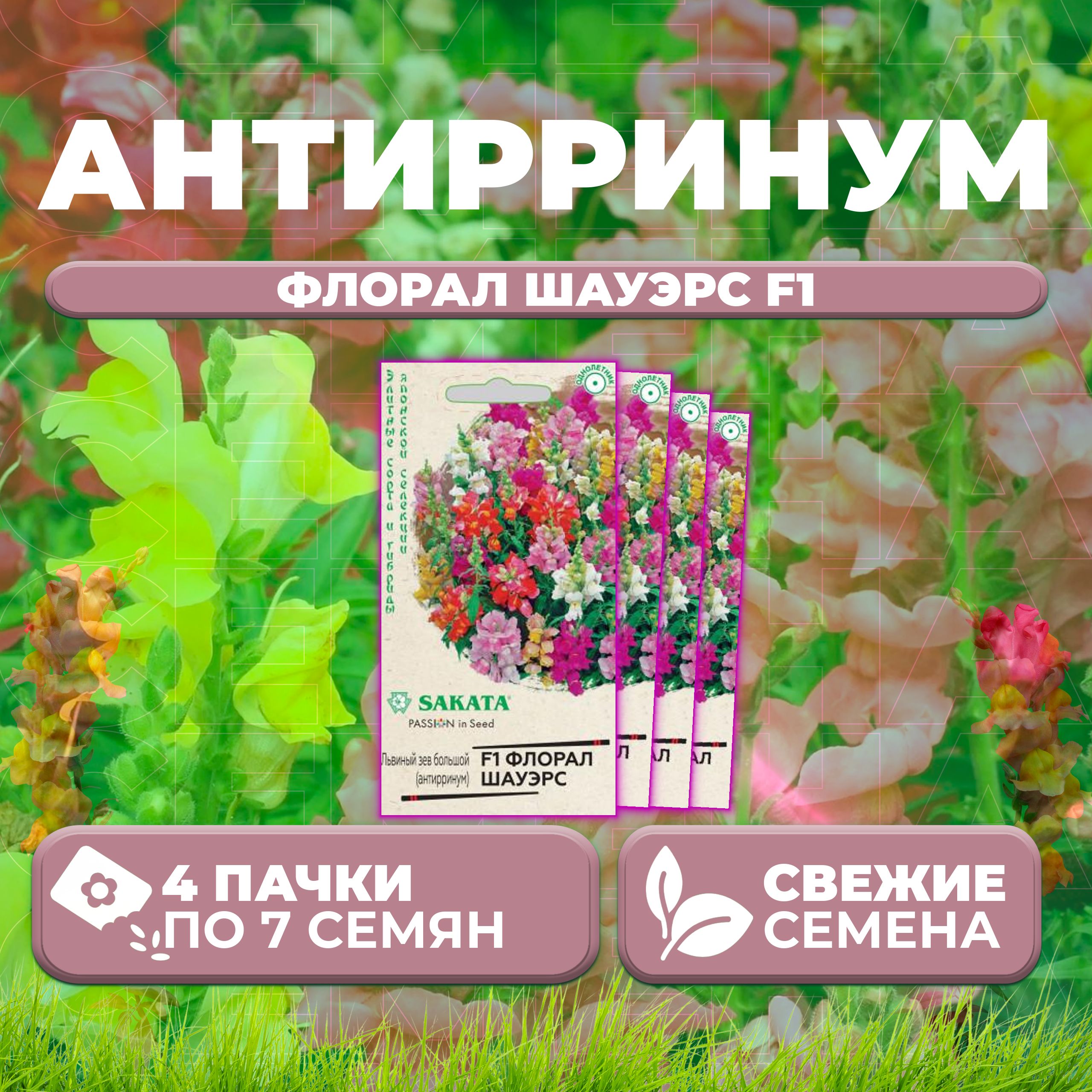 

Семена Антирринум (Львиный зев) Флорал Шауэрс F1, смесь, 7шт, Гавриш, Sakata (4 уп)