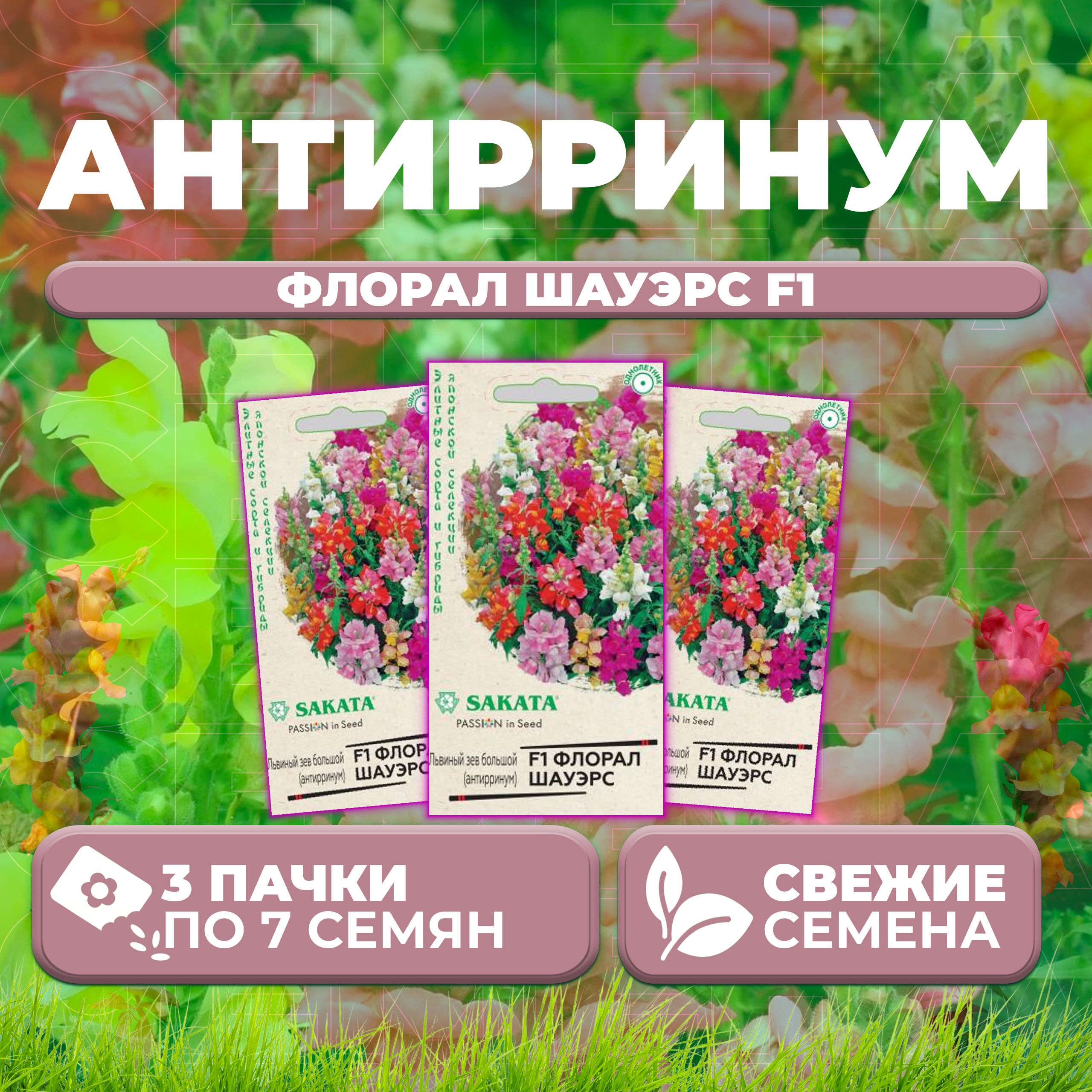

Семена Антирринум (Львиный зев) Флорал Шауэрс F1, смесь, 7шт, Гавриш, Sakata (3 уп)