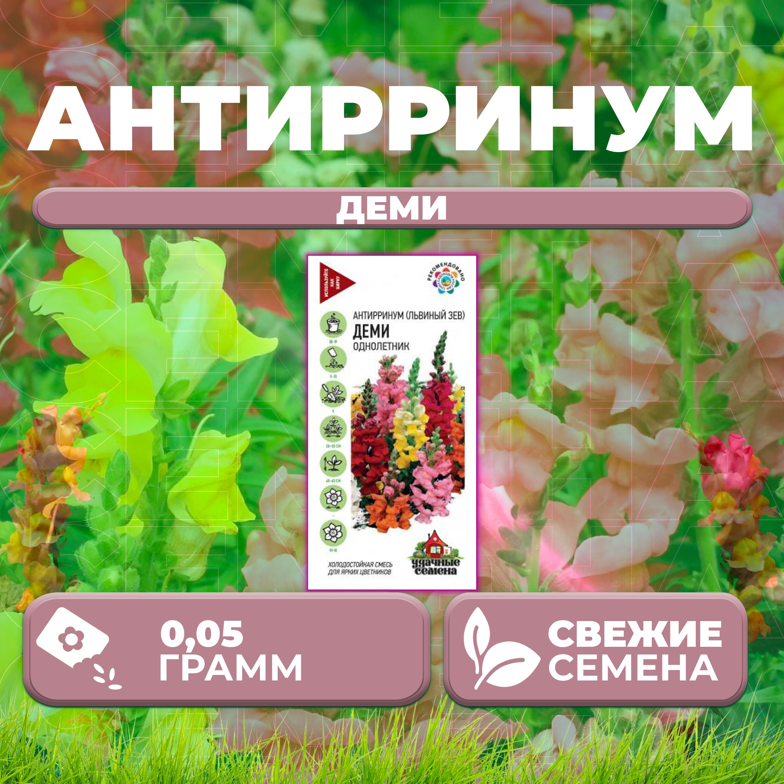 

Семена Антирринум (Львиный зев) Деми, смесь, 0,05г, Удачные семена (1 уп)